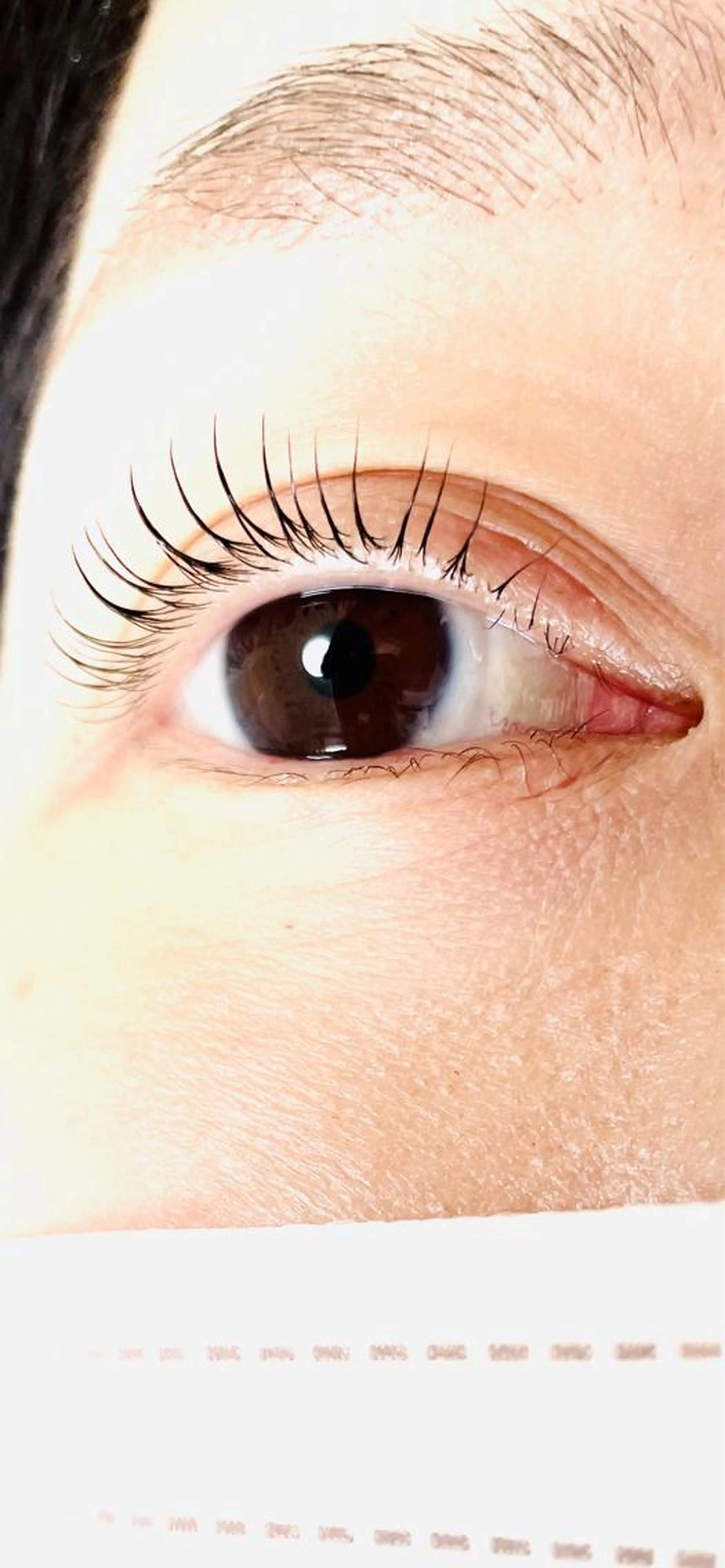 ラッシュリフト(まつげパーマ)⭐️化粧品登録済みパーマ剤使用の写真
