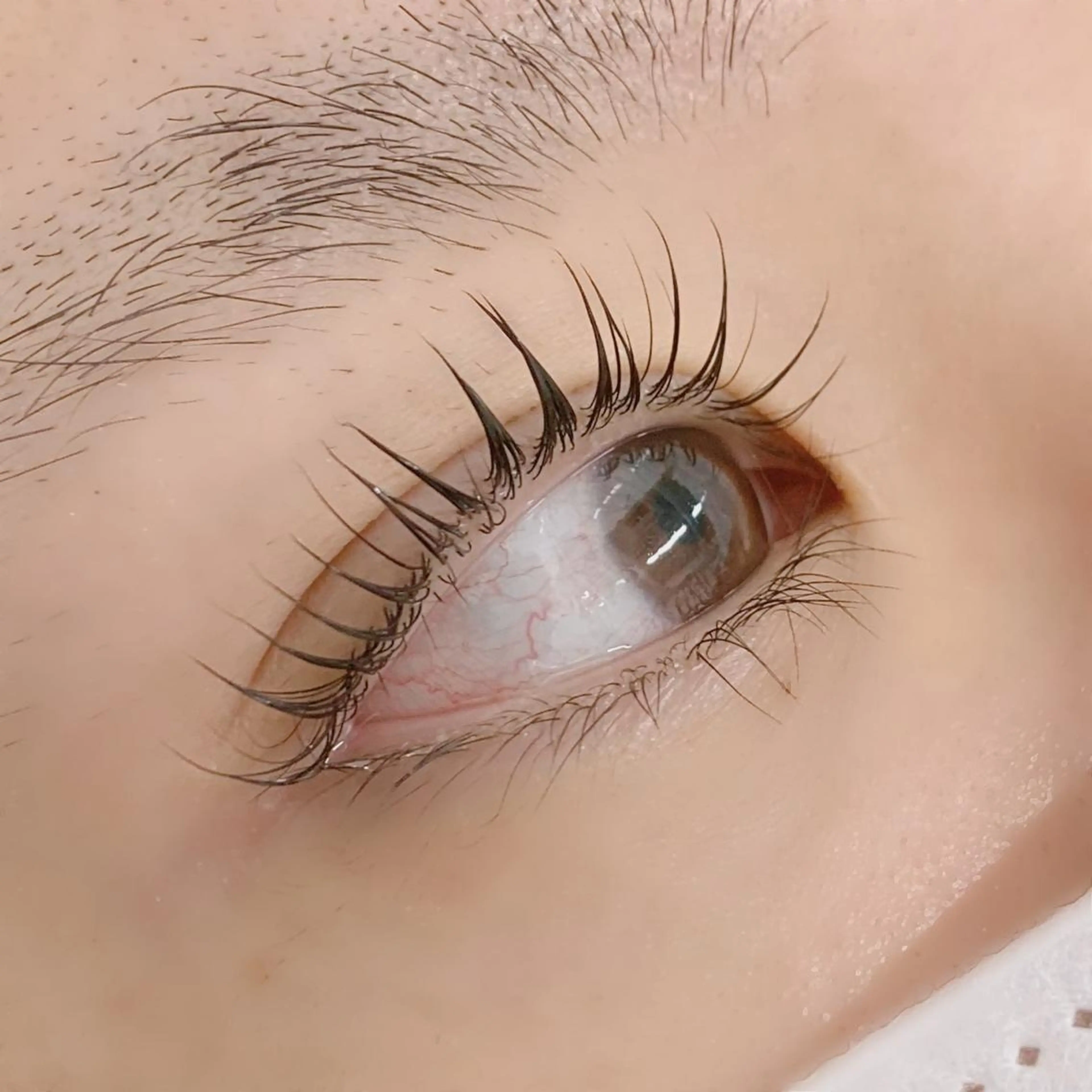 マツエク・マツパ alushe🌼 HIME🌼のマツエク・マツパデザイン