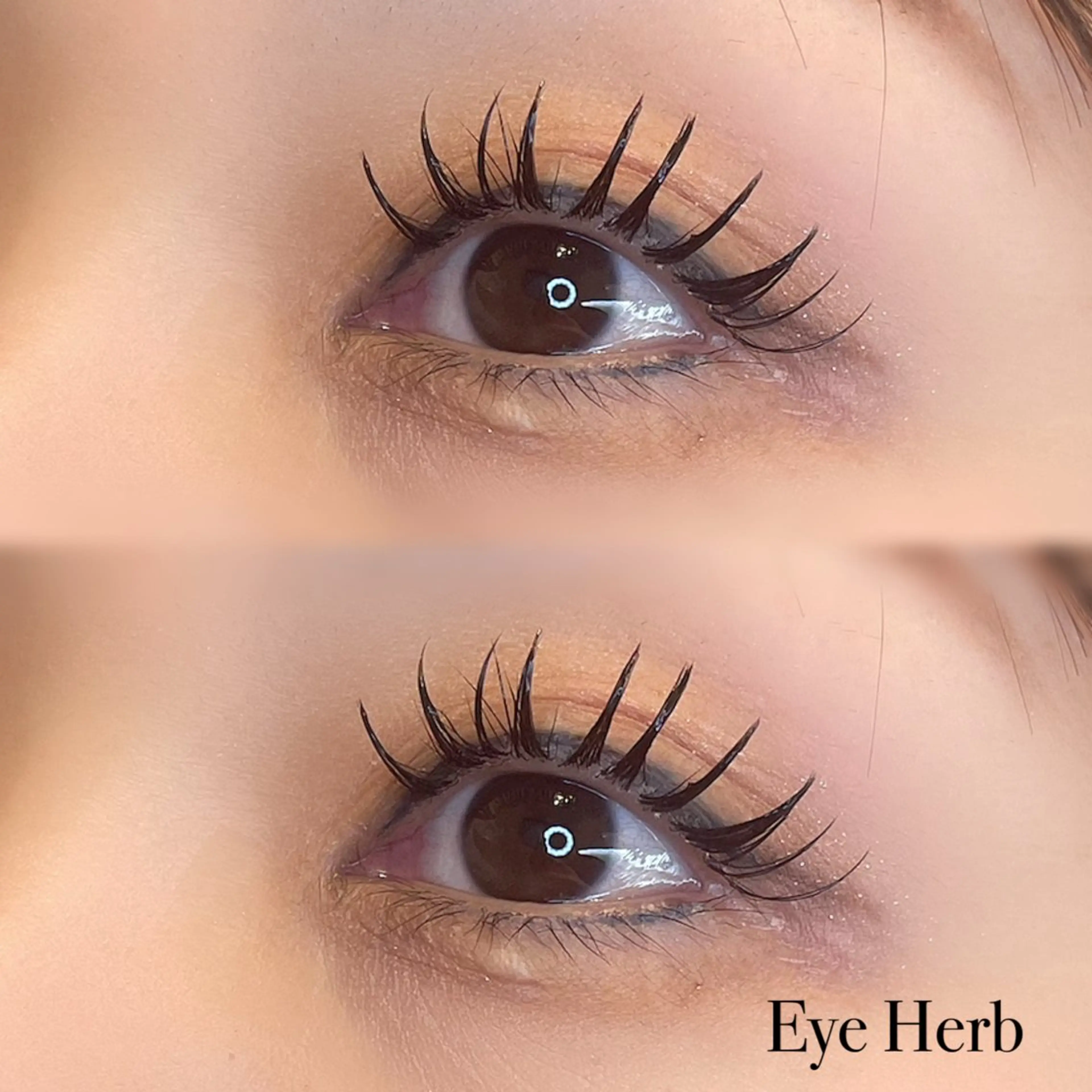 パリエク🕊️100本~の写真