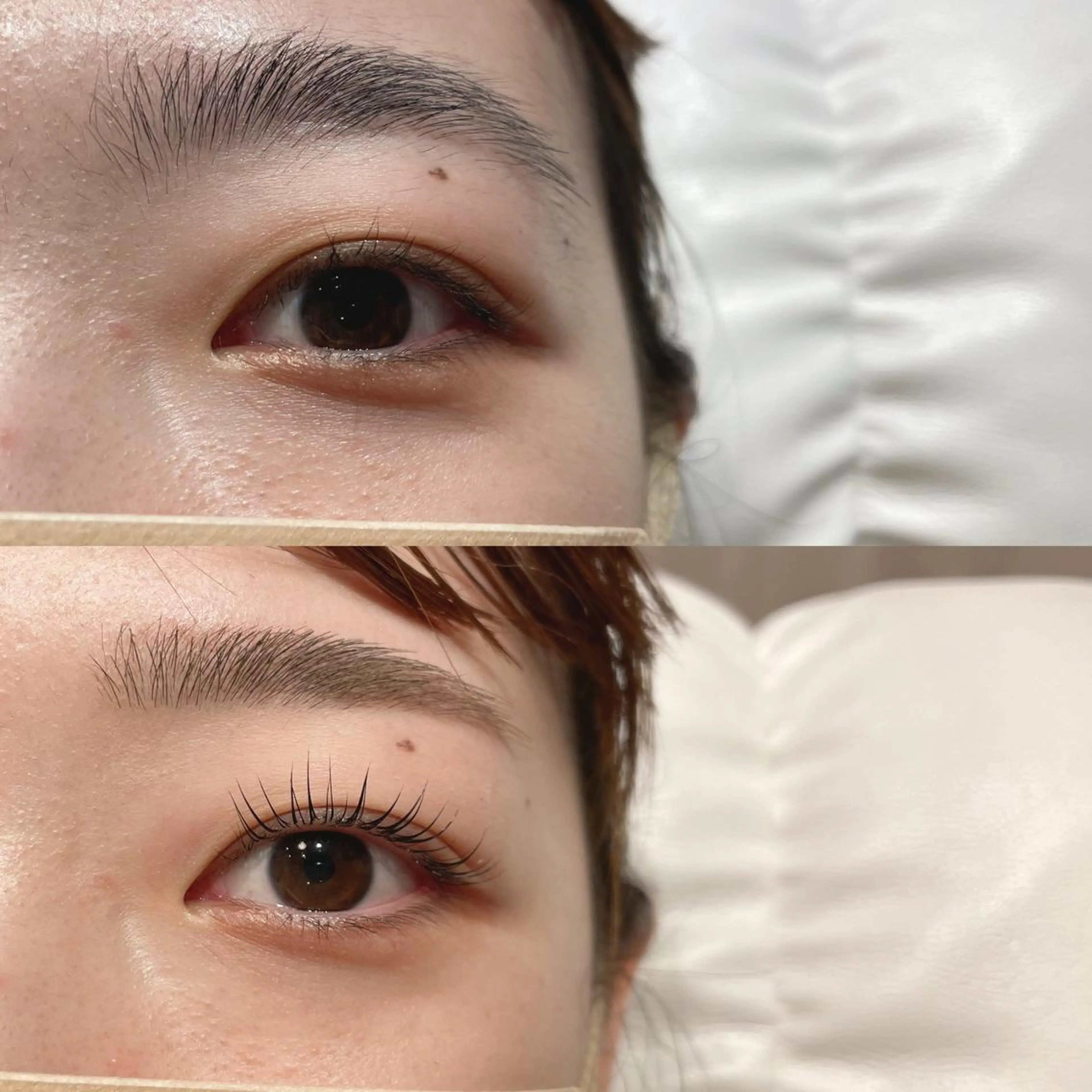 美眉スタイリング(アイブロウwax)+ラッシュリフト🌾SETの写真