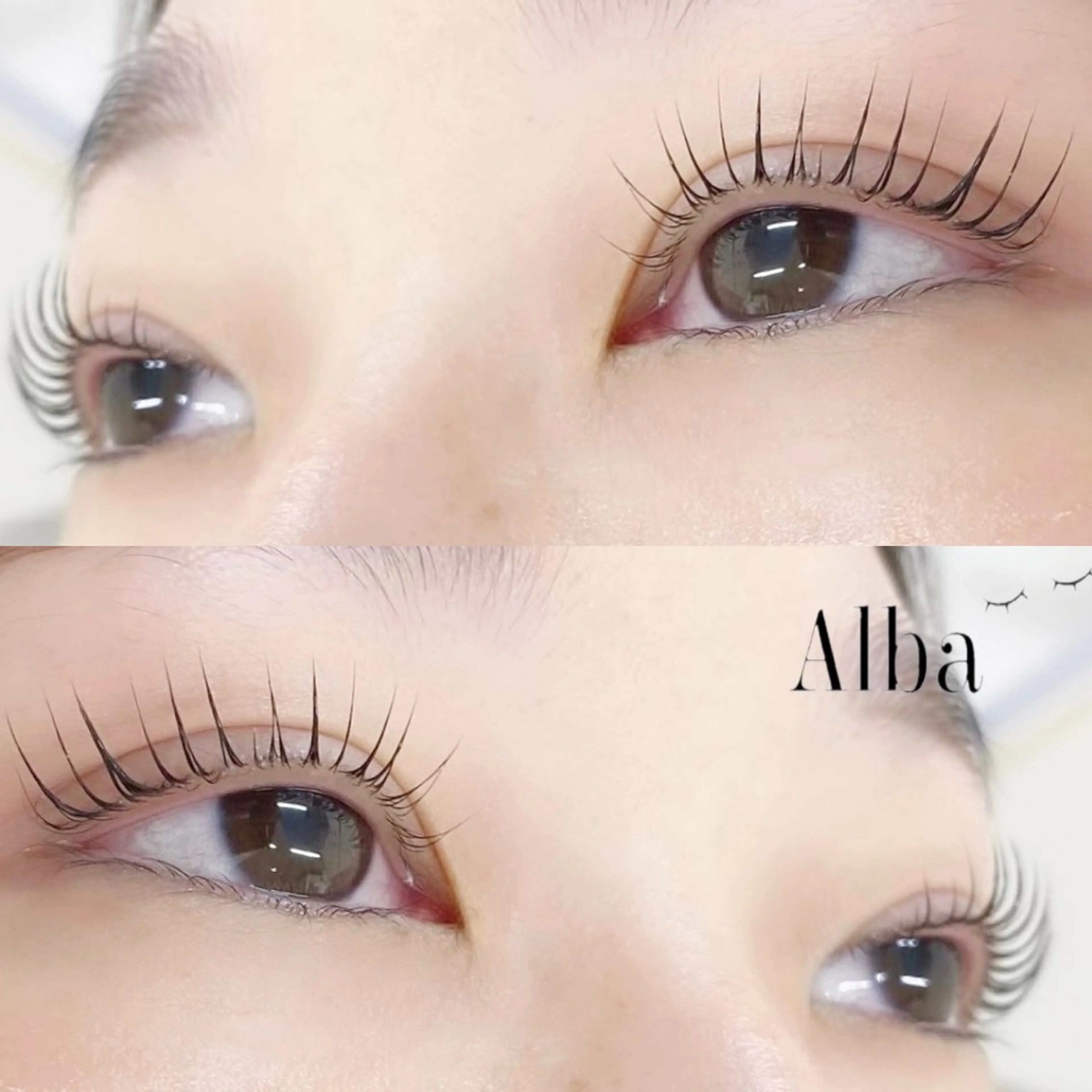 マツエク・マツパ 🌼Alba🌼 犬馬塲のマツエク・マツパデザイン