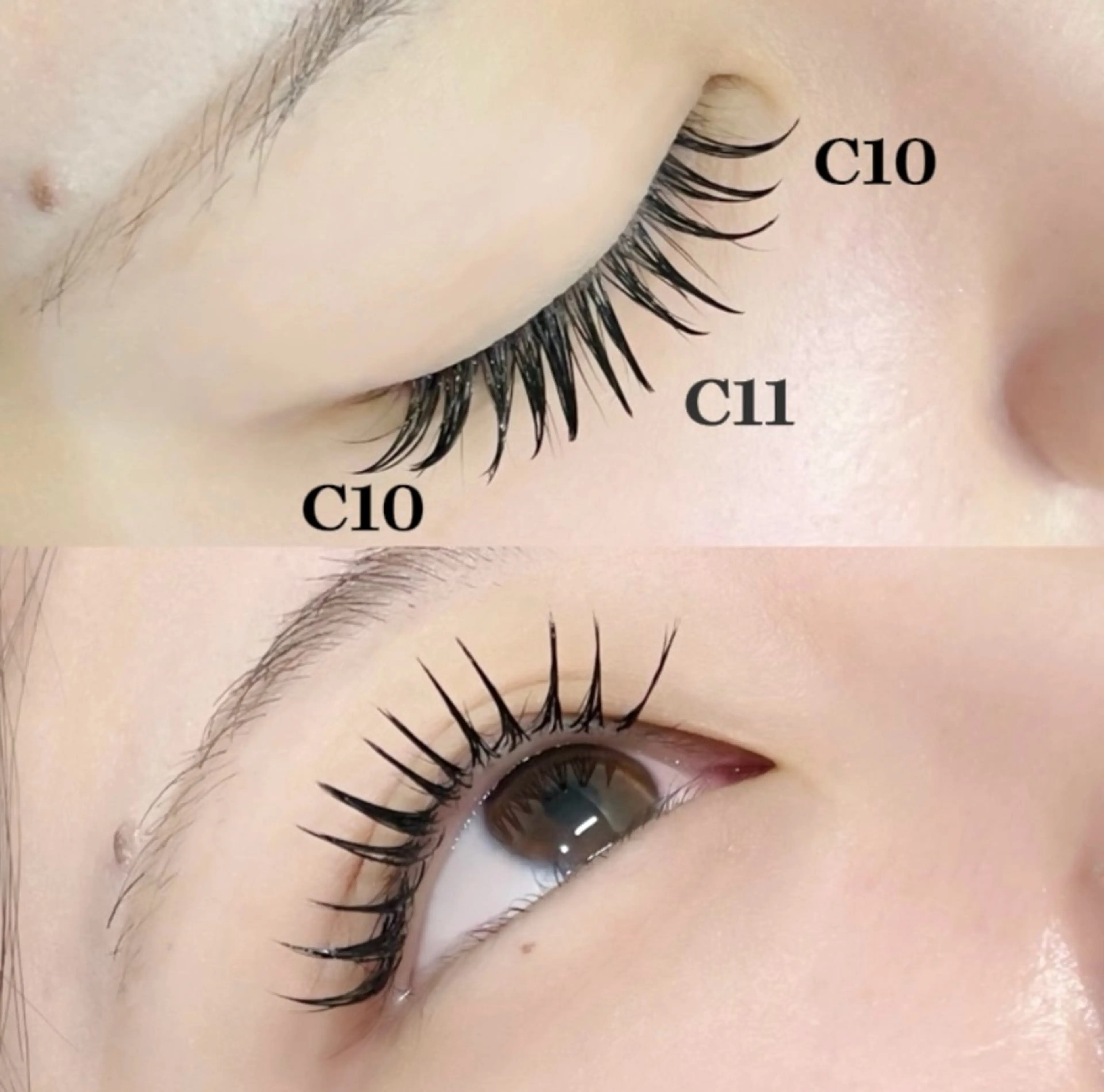 マツエク・マツパ セーブル elu+播磨店所属・elu+ rinaのマツエク・マツパデザイン