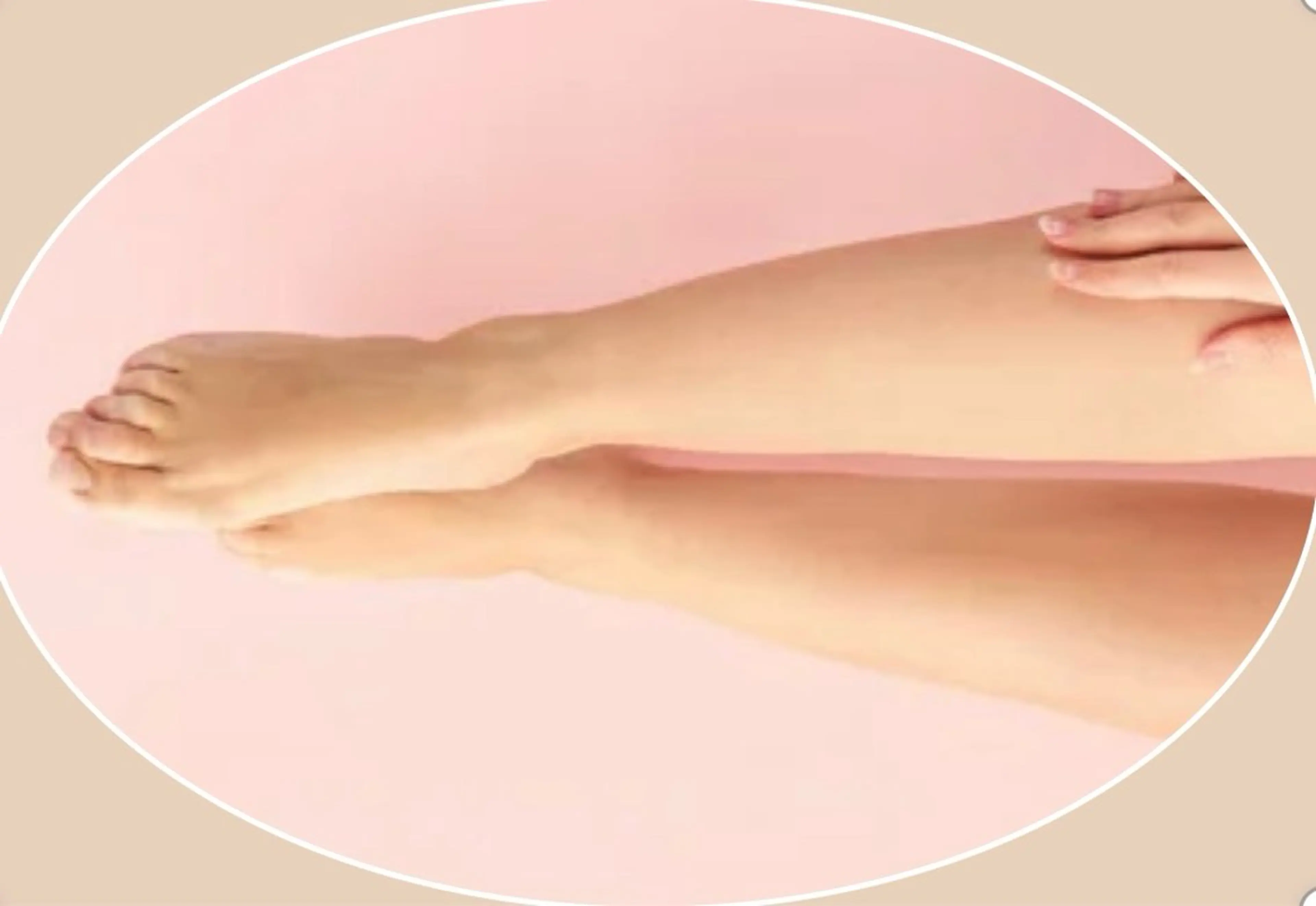 🦵脚(フル)🦵こちらも大人気のメニュー❣️つるつるもちもちすぐに手に入ります🫶の写真