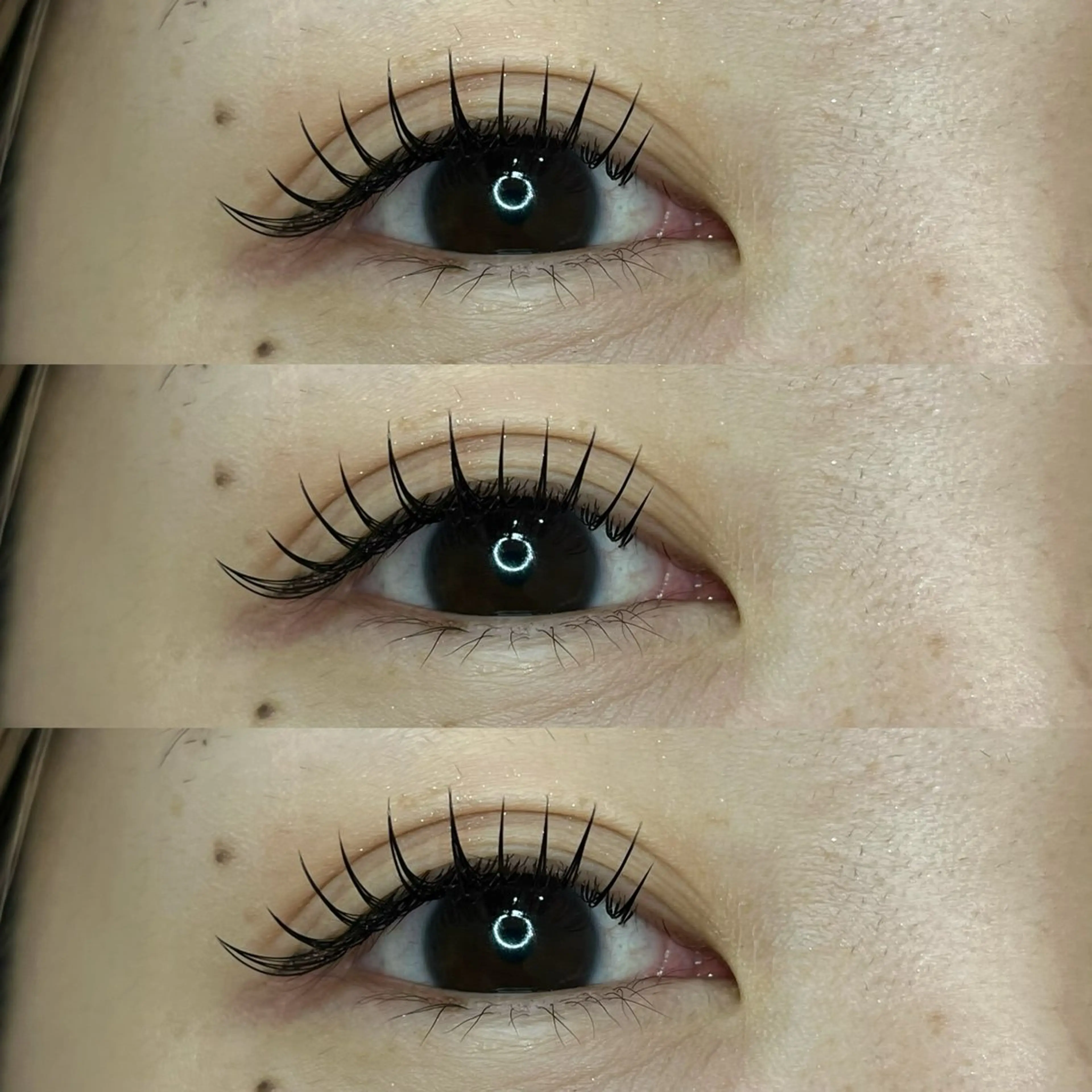 LEDフラットマットラッシュ100本(オフ込)アイシャンプー付☆の写真