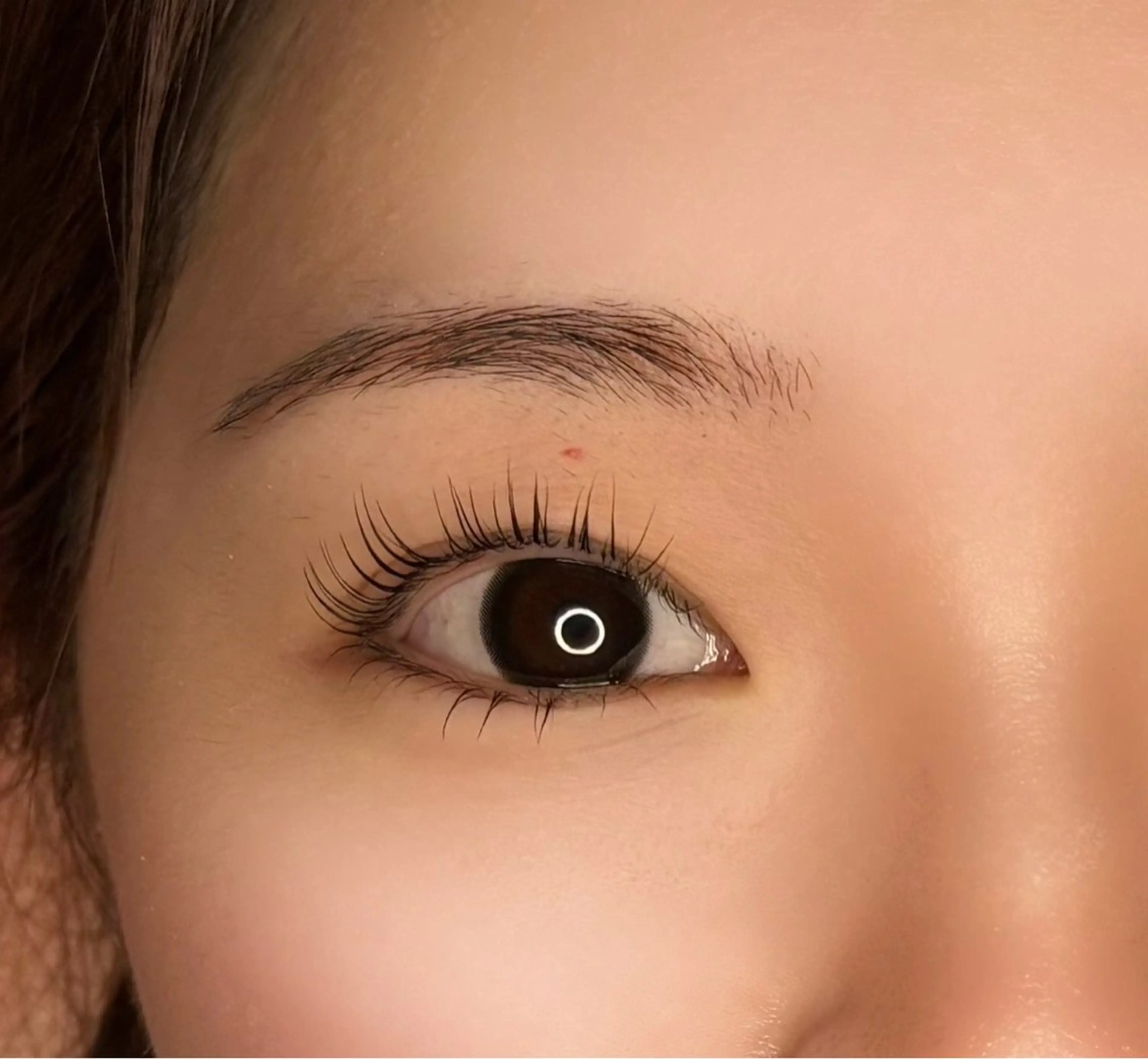 まつげパーマ♪上下セットの写真