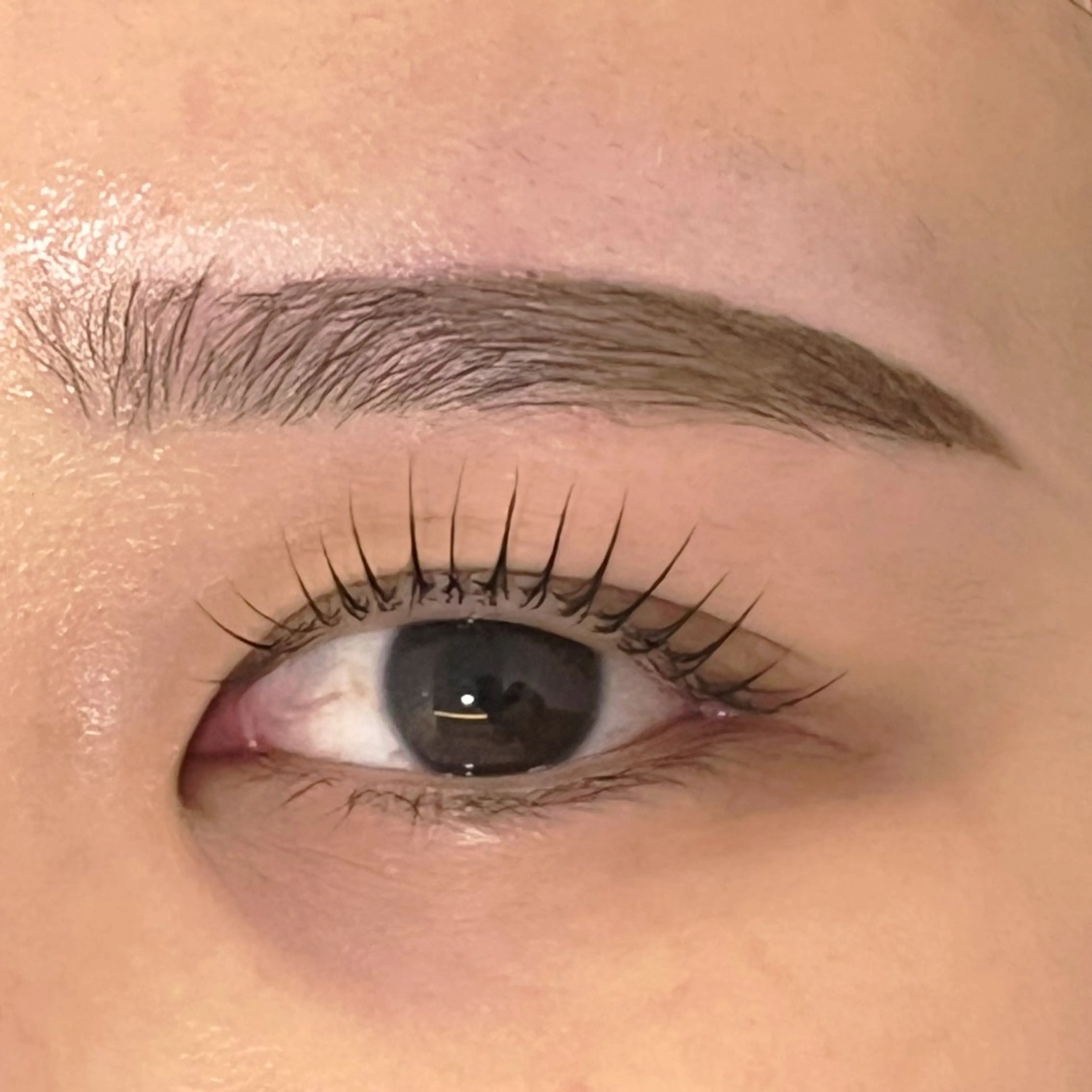 《ミニモ学割⭐️新成人向け》まゆげティント無料！アイブロウワックス➕間引きの写真