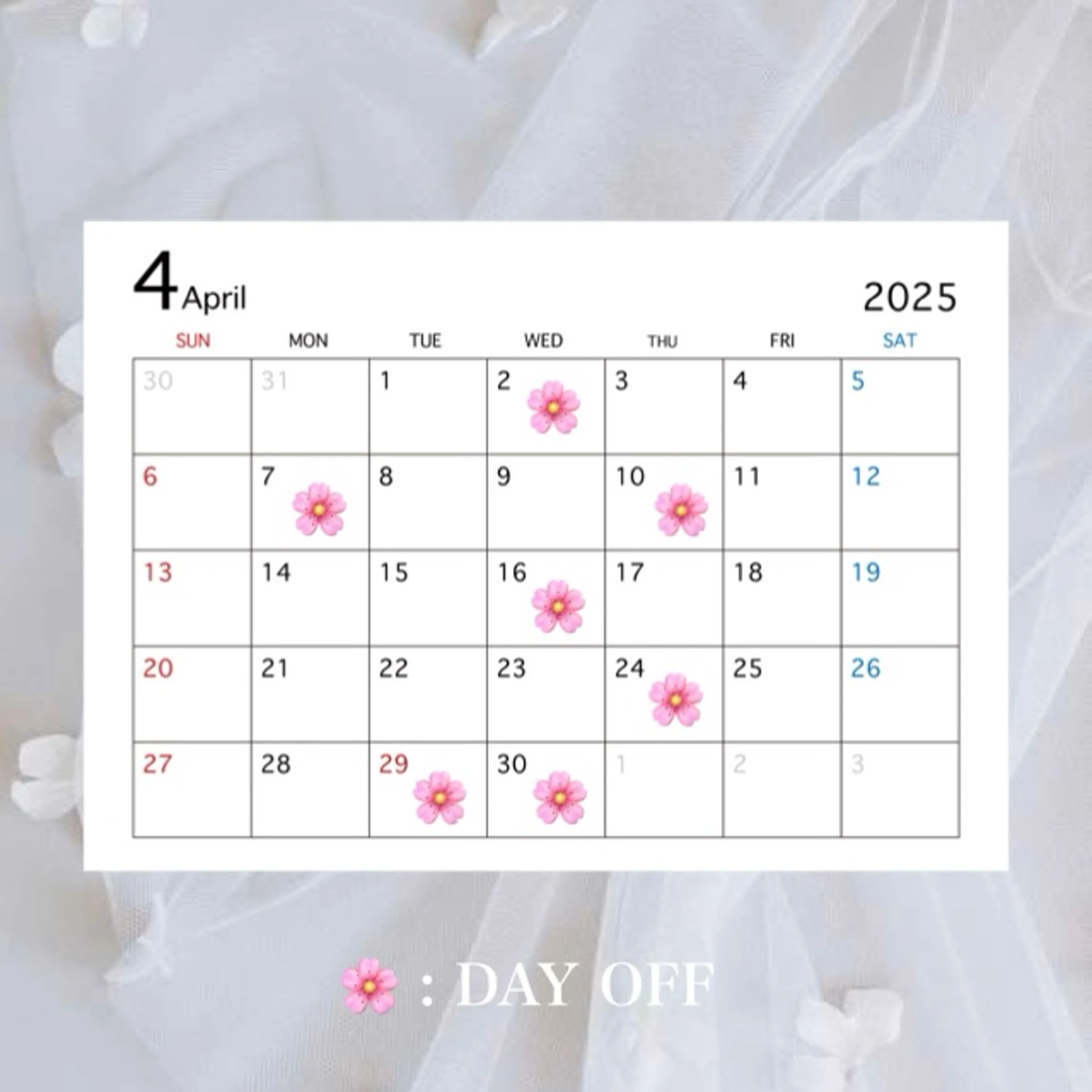 CURE MORITAのマツエク・マツパデザイン