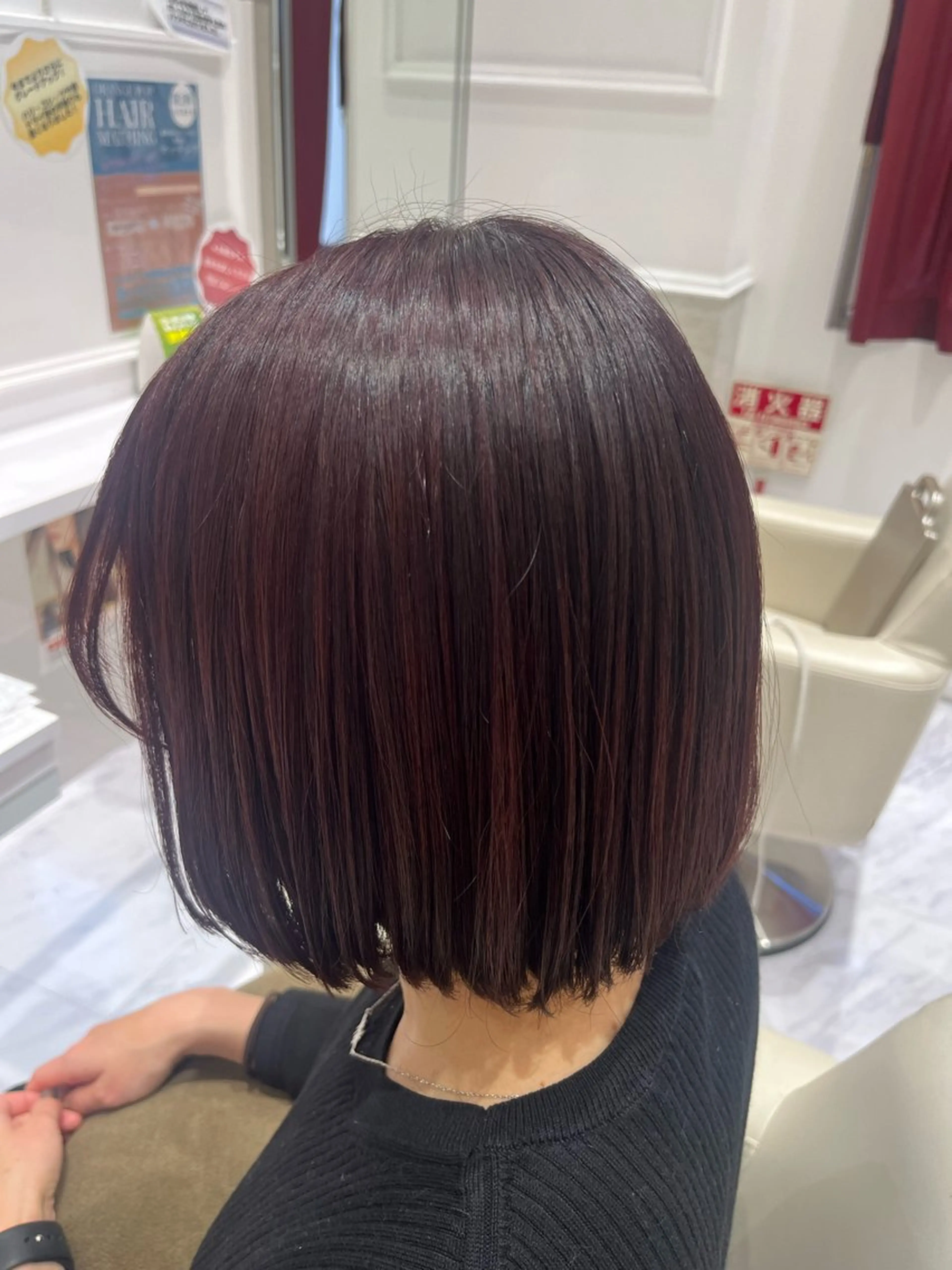 レディースカットカラーの写真