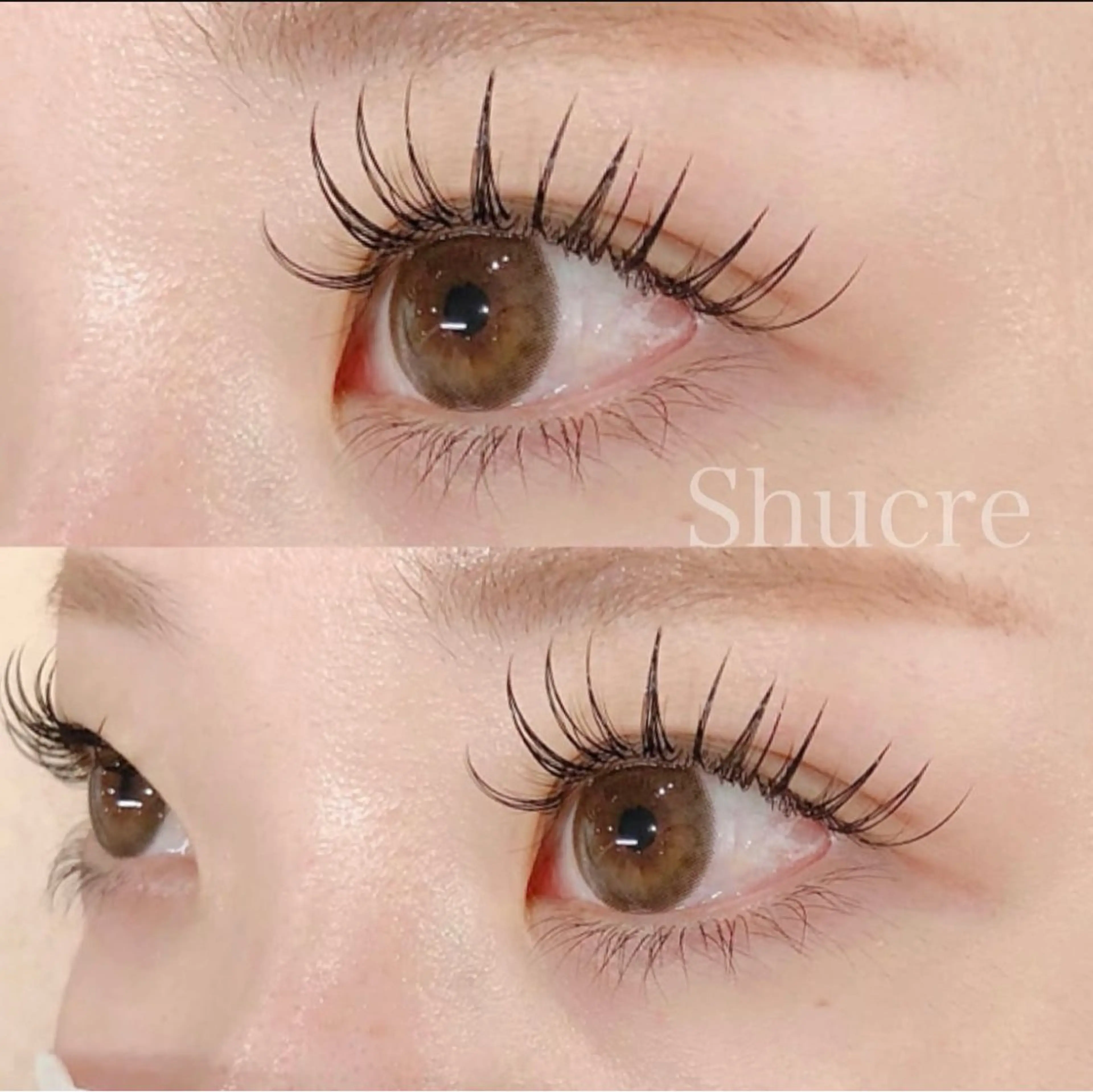 マツエク・マツパ shucre豊田店 💚sakiのマツエク・マツパデザイン