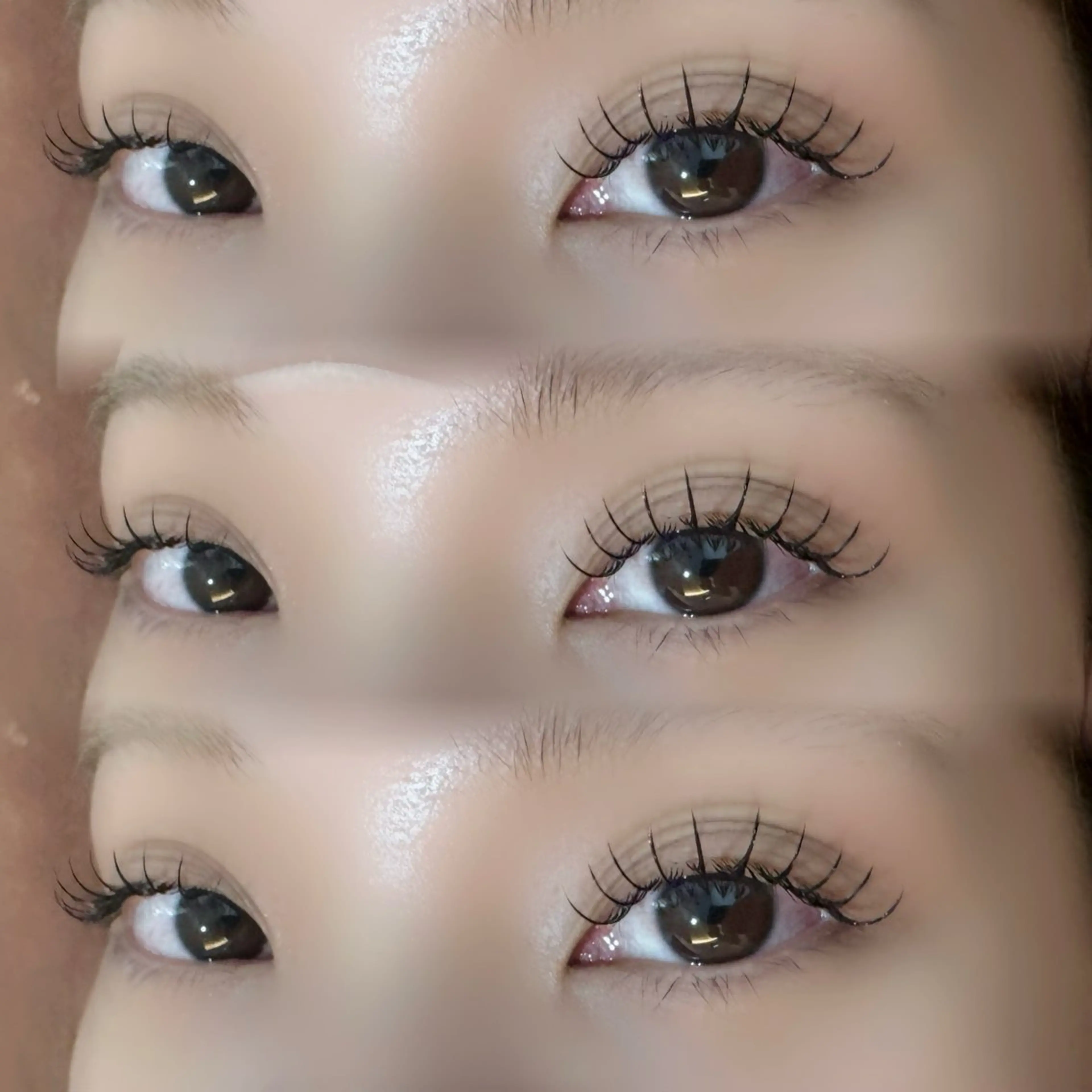 【LED】フラットラッシュ100本🪽(オフ込み)の写真