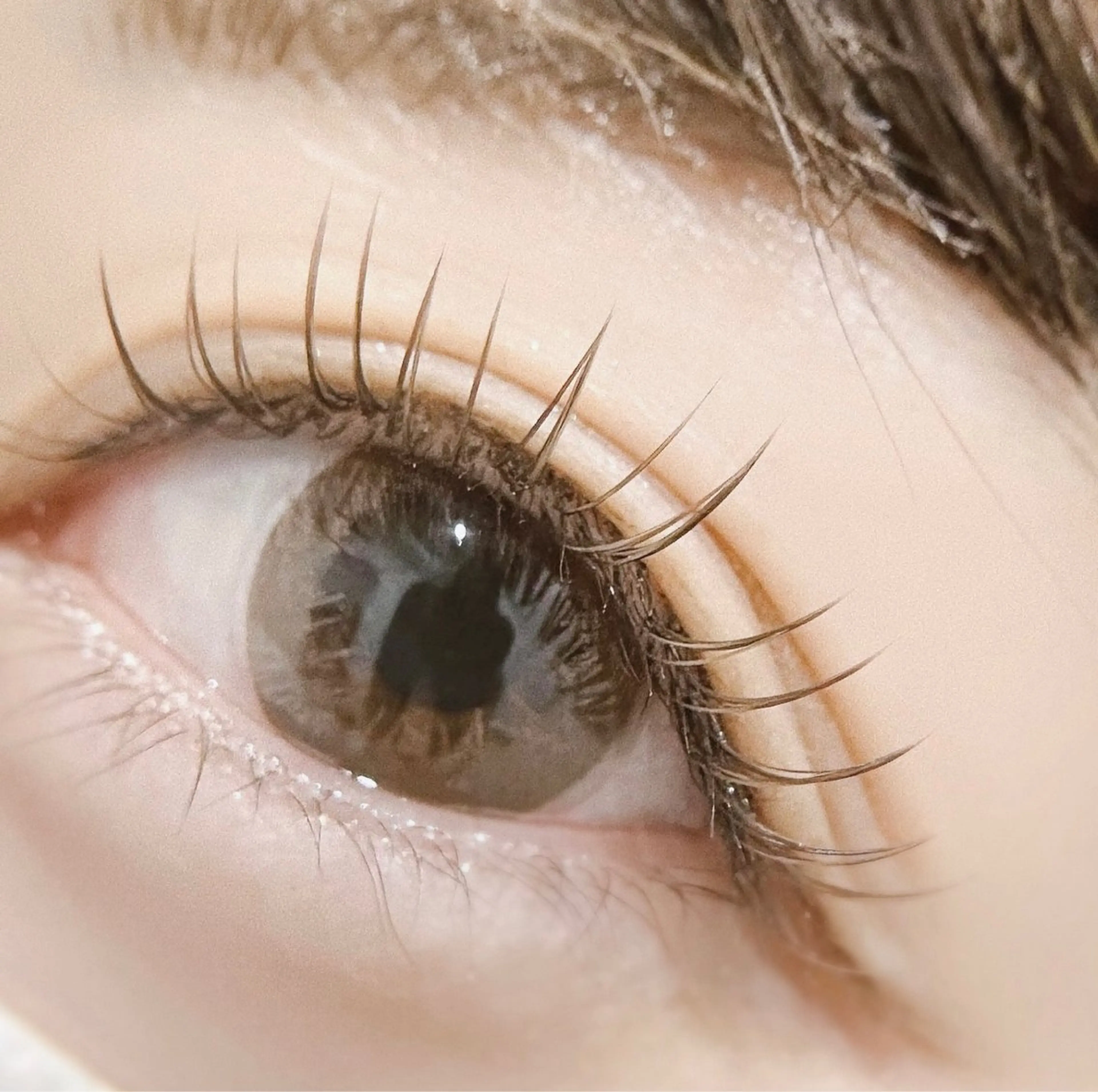 マツエク・マツパ マツエク 🫧OKUYAMA KOHARU 🫧のマツエク・マツパデザイン