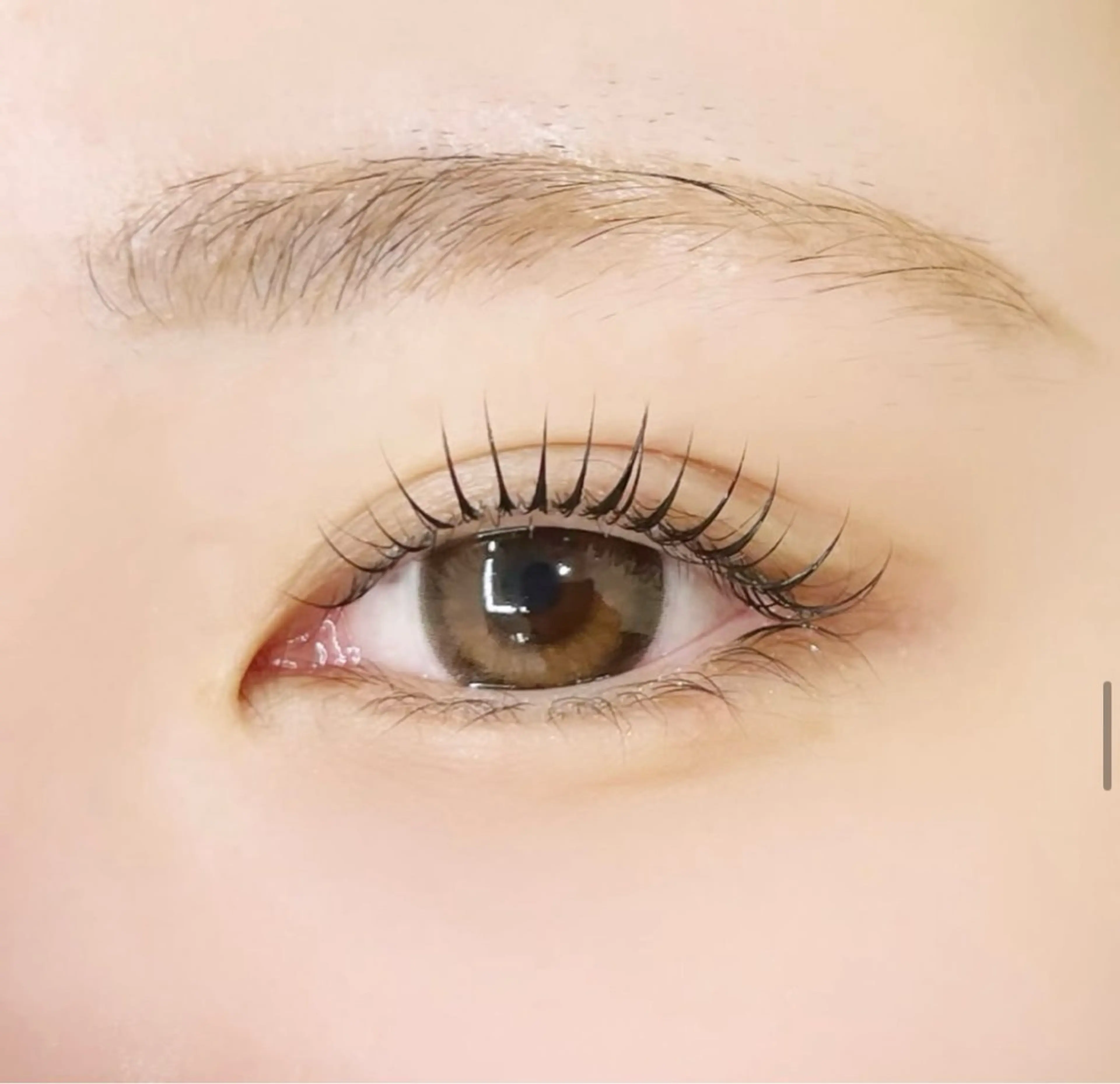 無料✨女性限定🩷まつげパーマモデル募集中！の写真