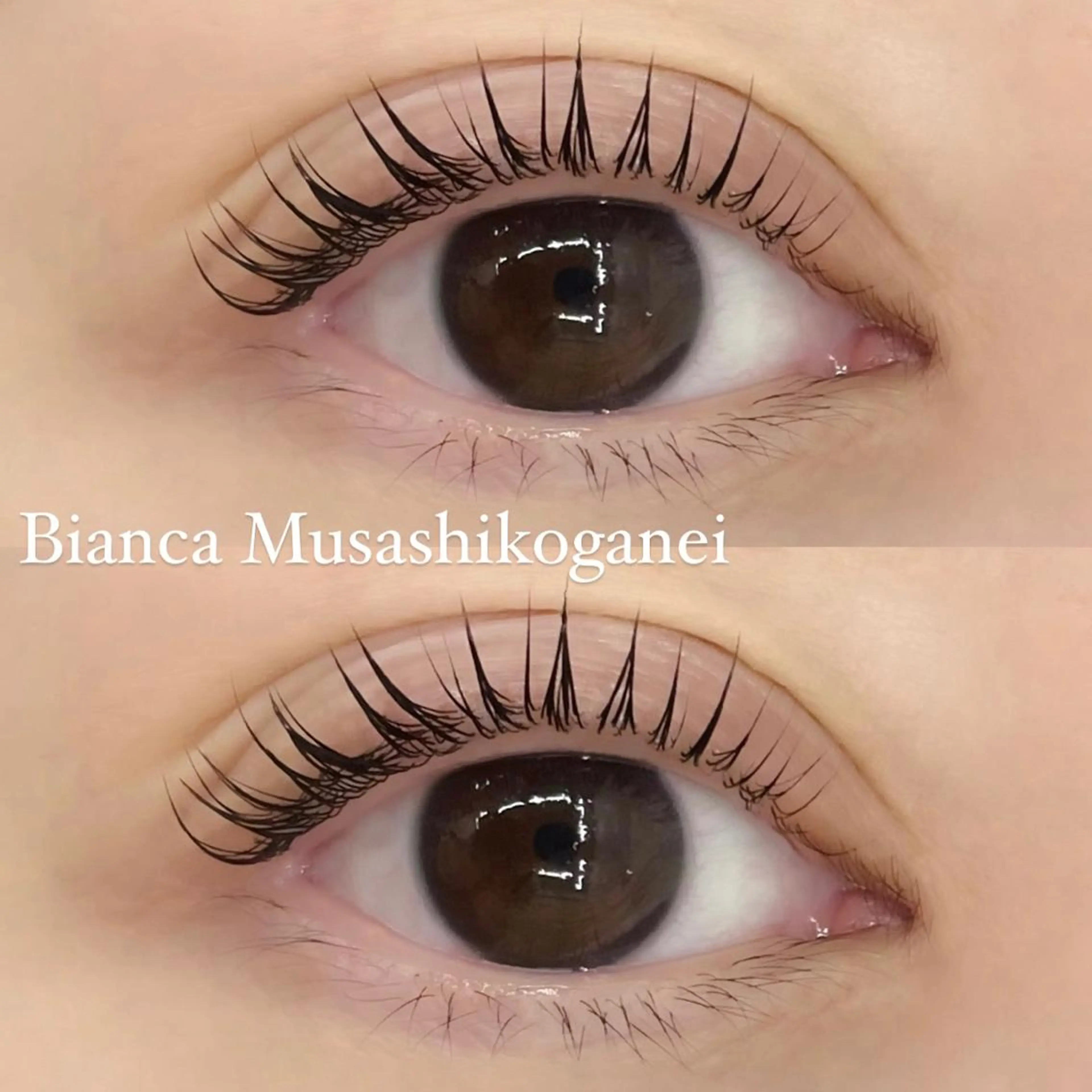 マツエク・マツパ マツパ 🩶Bianca 副店長ハシモト🩶のマツエク・マツパデザイン