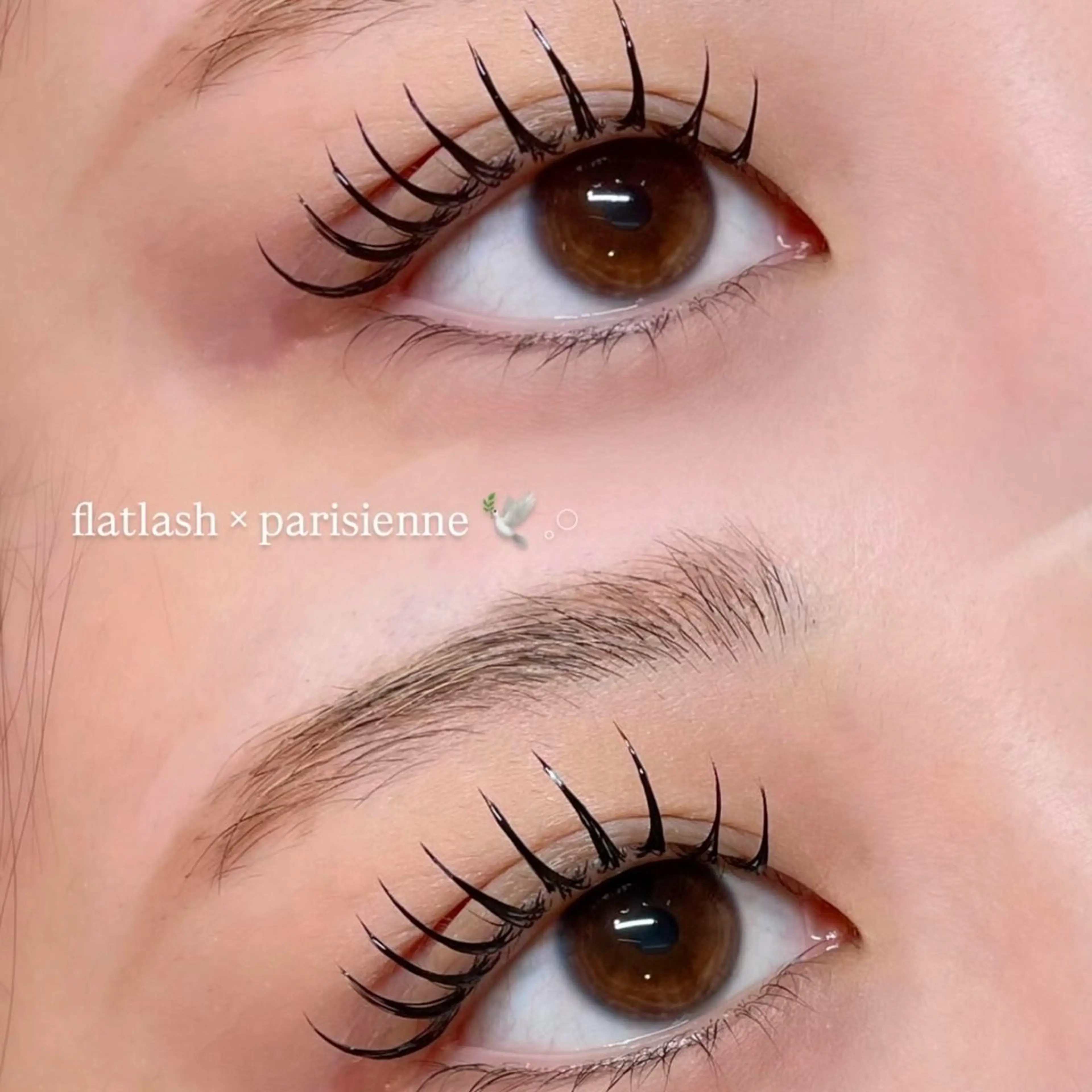 マツエク・マツパ マツエク Mell Yuuna ♡パリエク /束感の眉毛・アイブロウイメージ