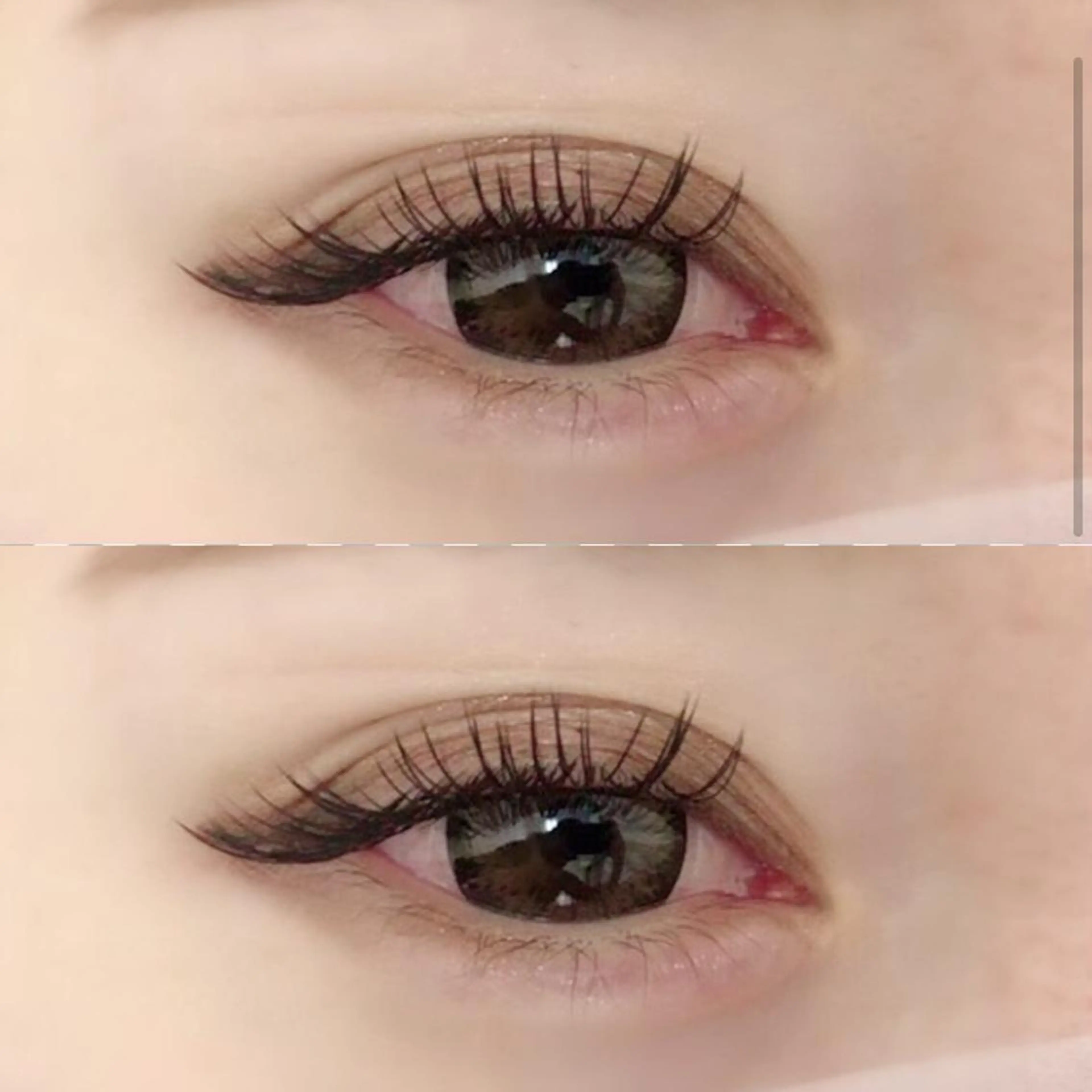 【🌹minimo価格🌹】新規【セーブル120本 】の写真