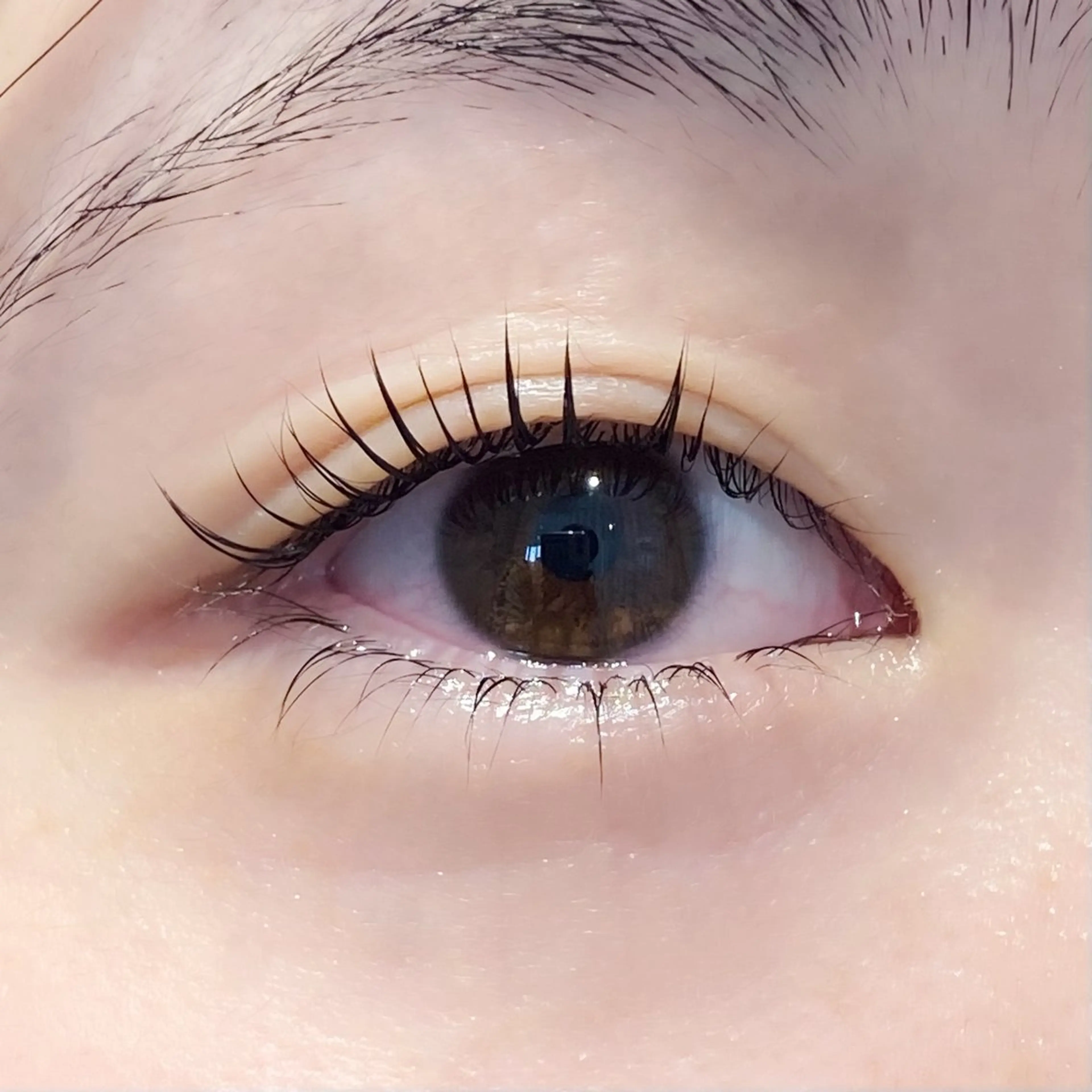 マツエク・マツパ パリジェンヌラッシュリフト diar blue YUIのマツエク・マツパデザイン