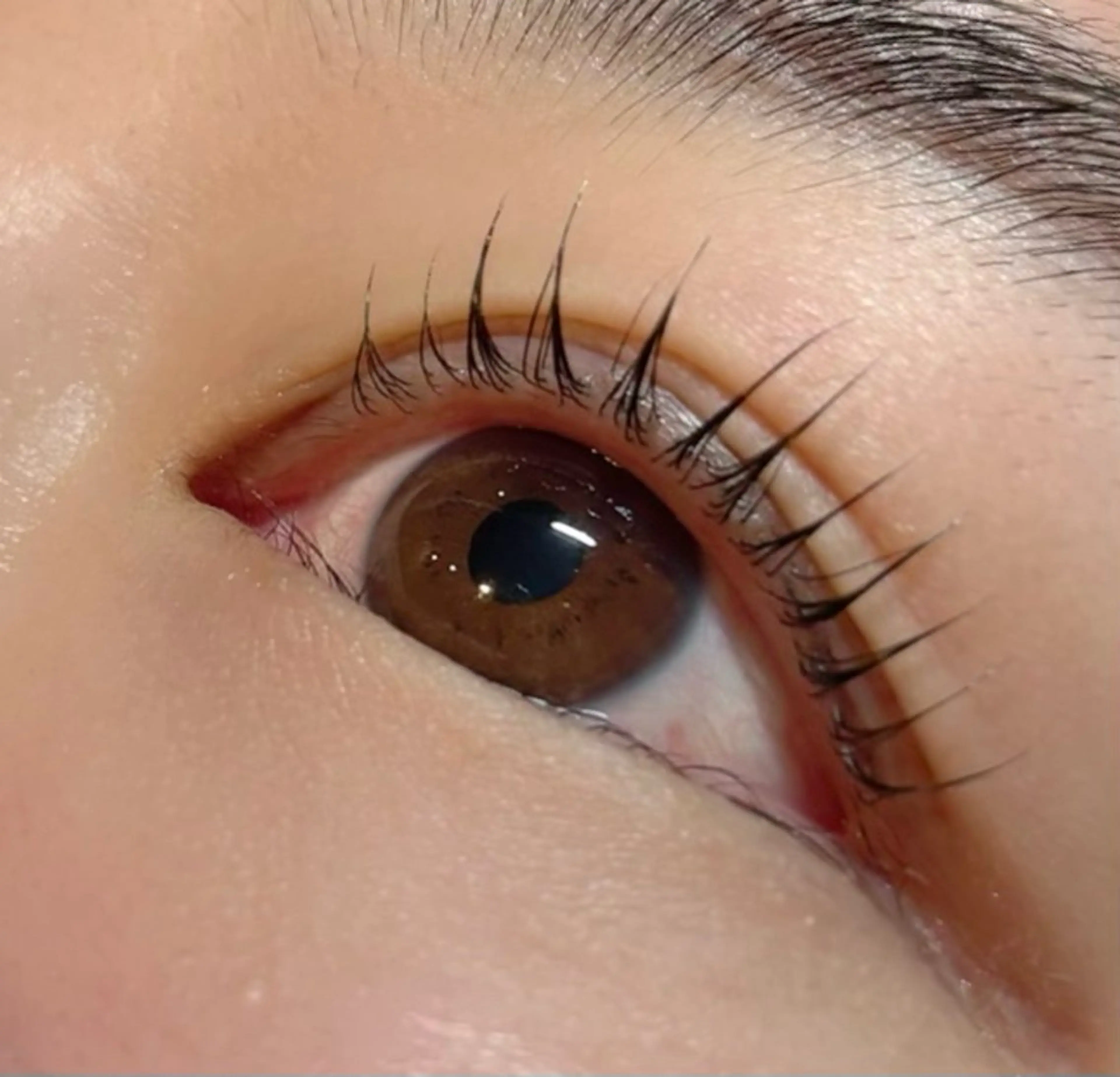 マツエク・マツパ Lカール まつげパーマ 安田 栞乃音のマツエク・マツパデザイン