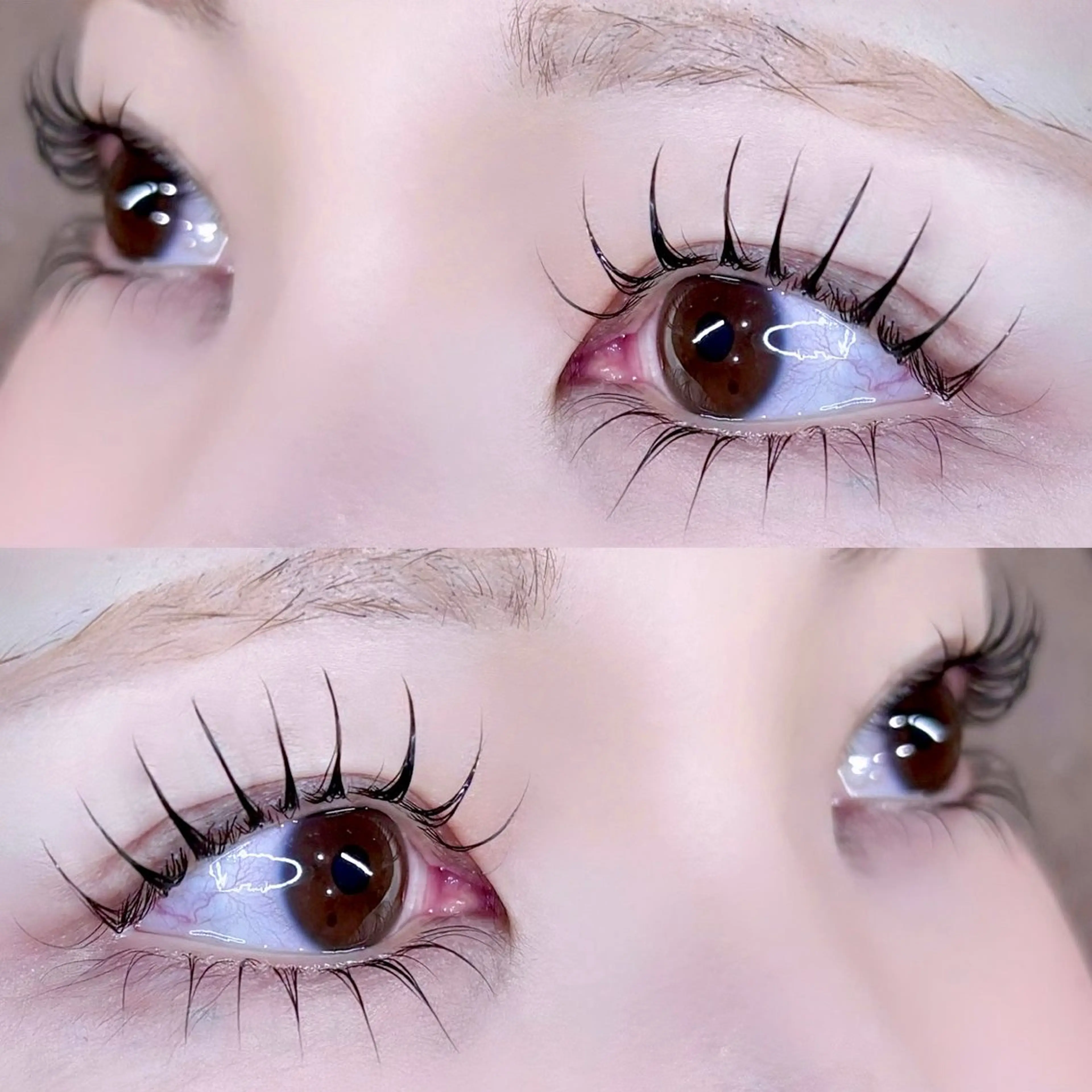 マツエク・マツパ バインドロック フラットラッシュ パリジェンヌラッシュリフト まつげパーマ 下まつげエクステ マツパ fein. mizuki🌙のマツエク・マツパデザイン