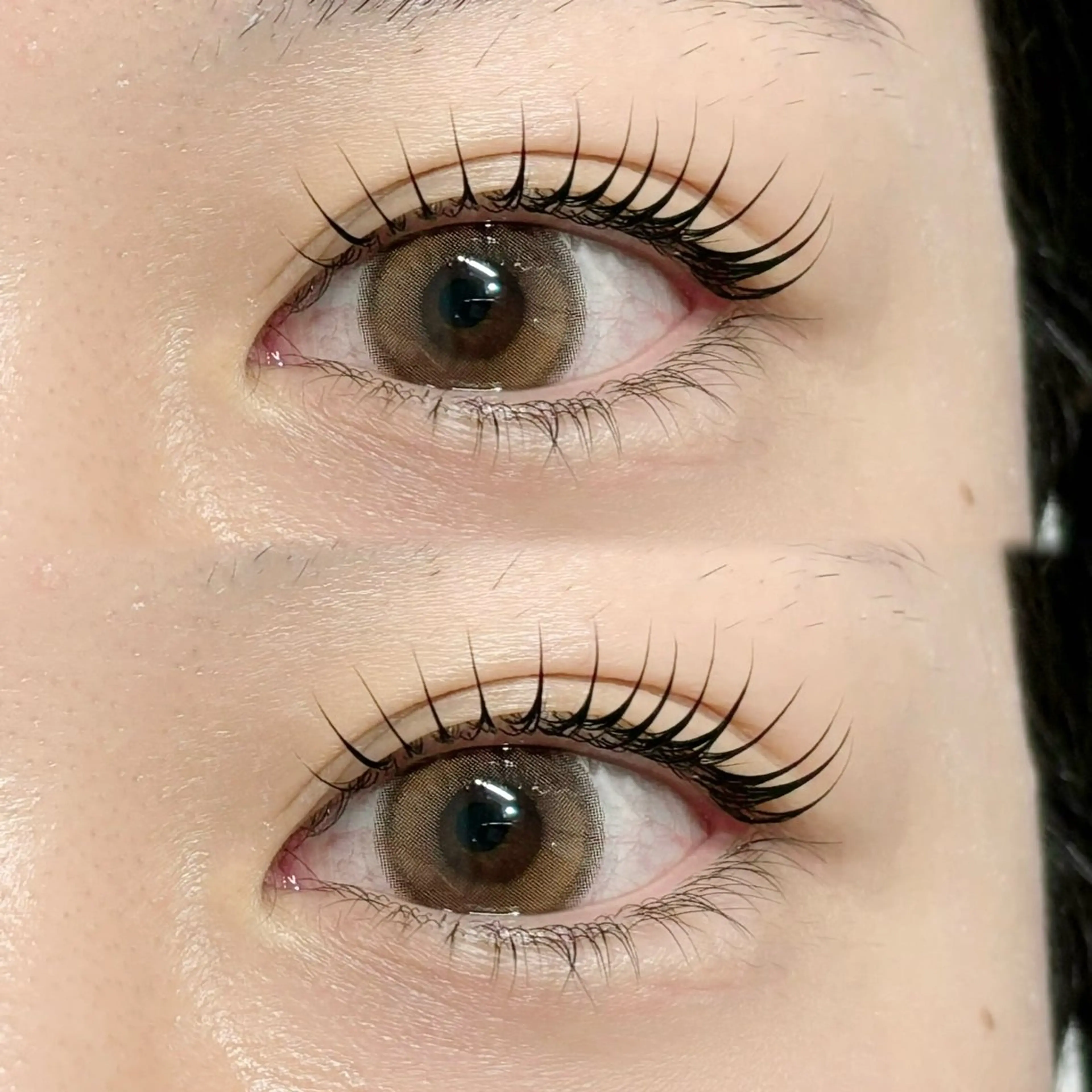 【当日限定】ラッシュリフト🤍束感仕上げ付き✨の写真