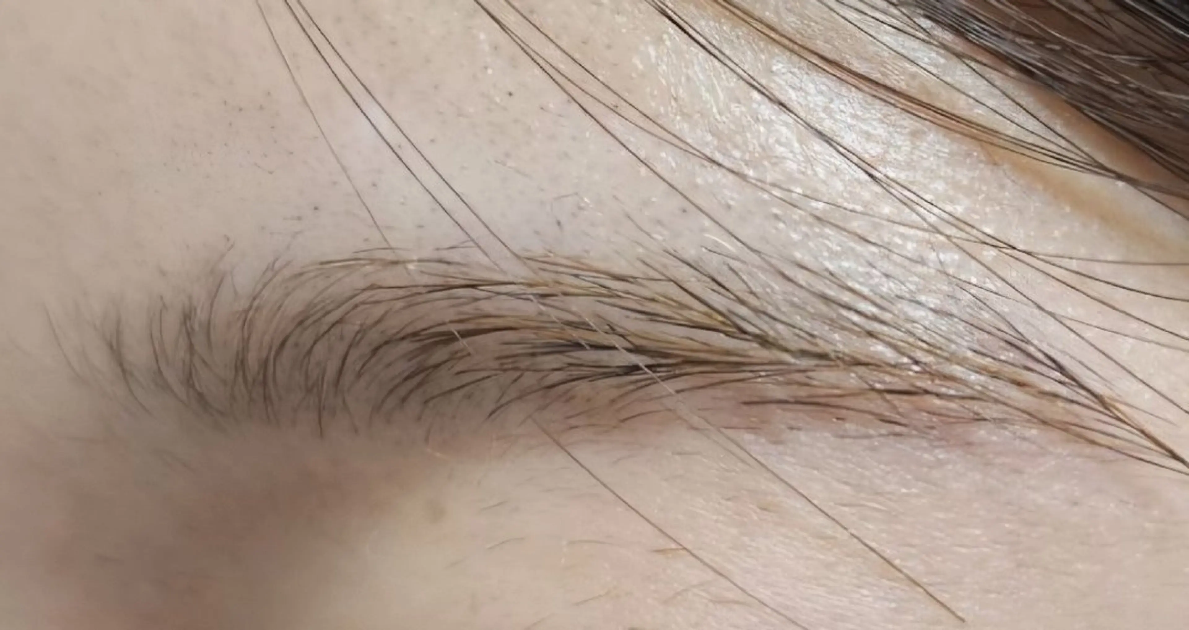 アイブロウ Privatesalon所属・Private salonのマツエク・マツパデザイン