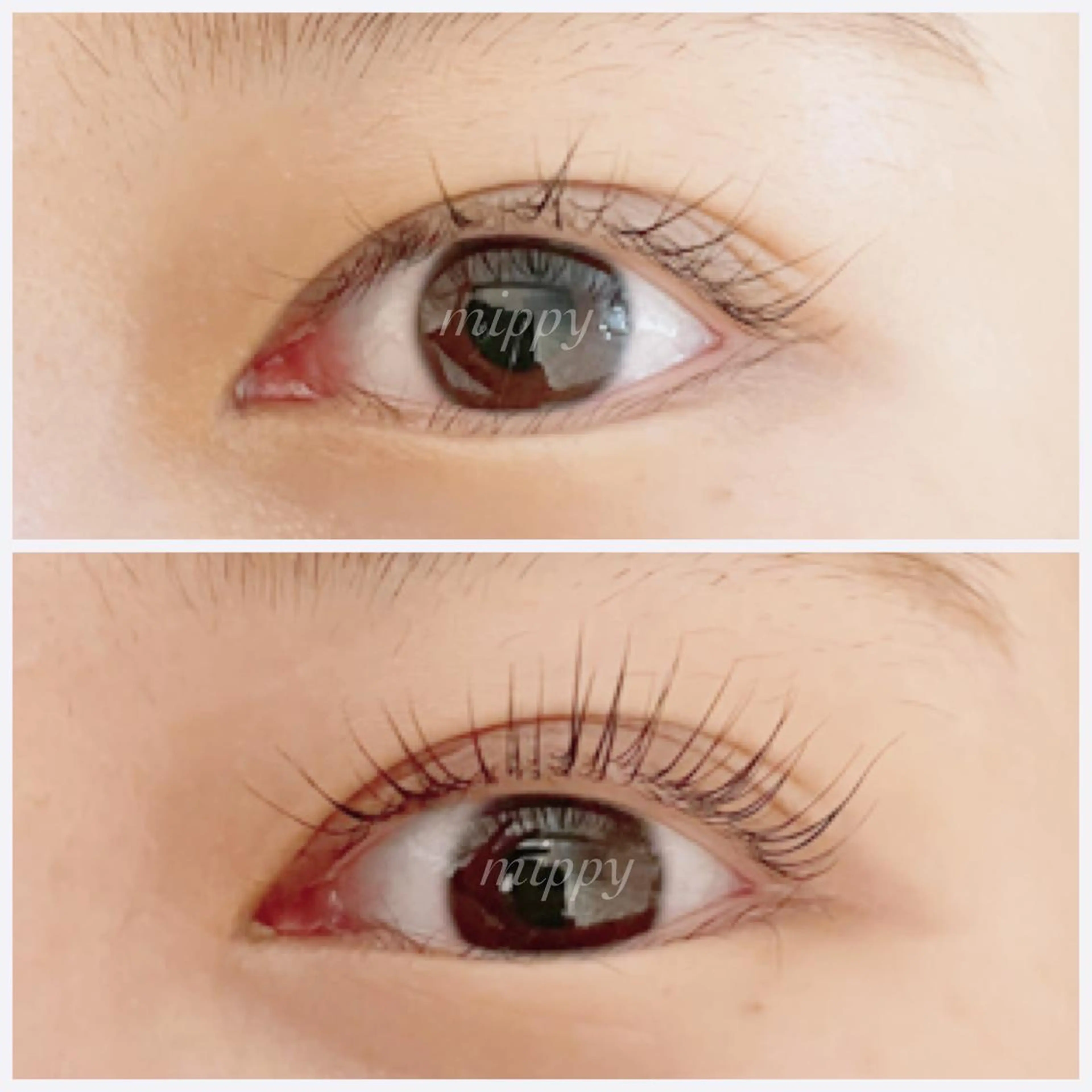 マツエク・マツパ パリジェンヌラッシュリフト ｍｉｐｐｙ 🪽のマツエク・マツパデザイン