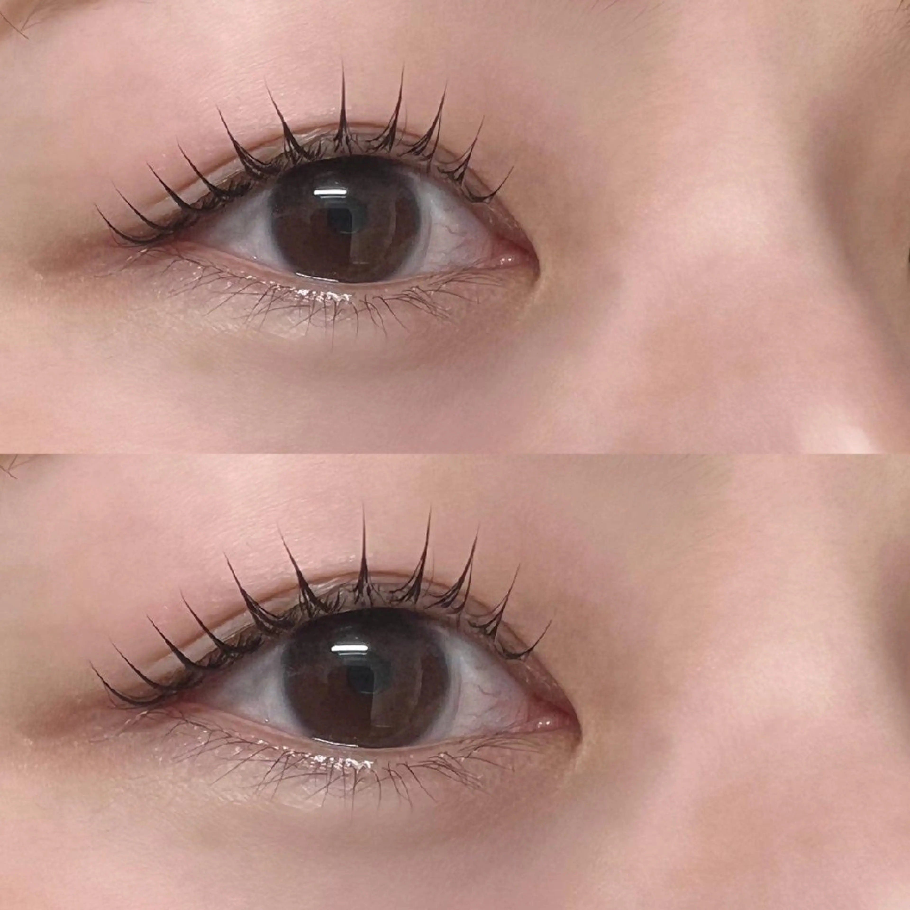 似合わせ🦭まつ毛パーマ🤍の写真