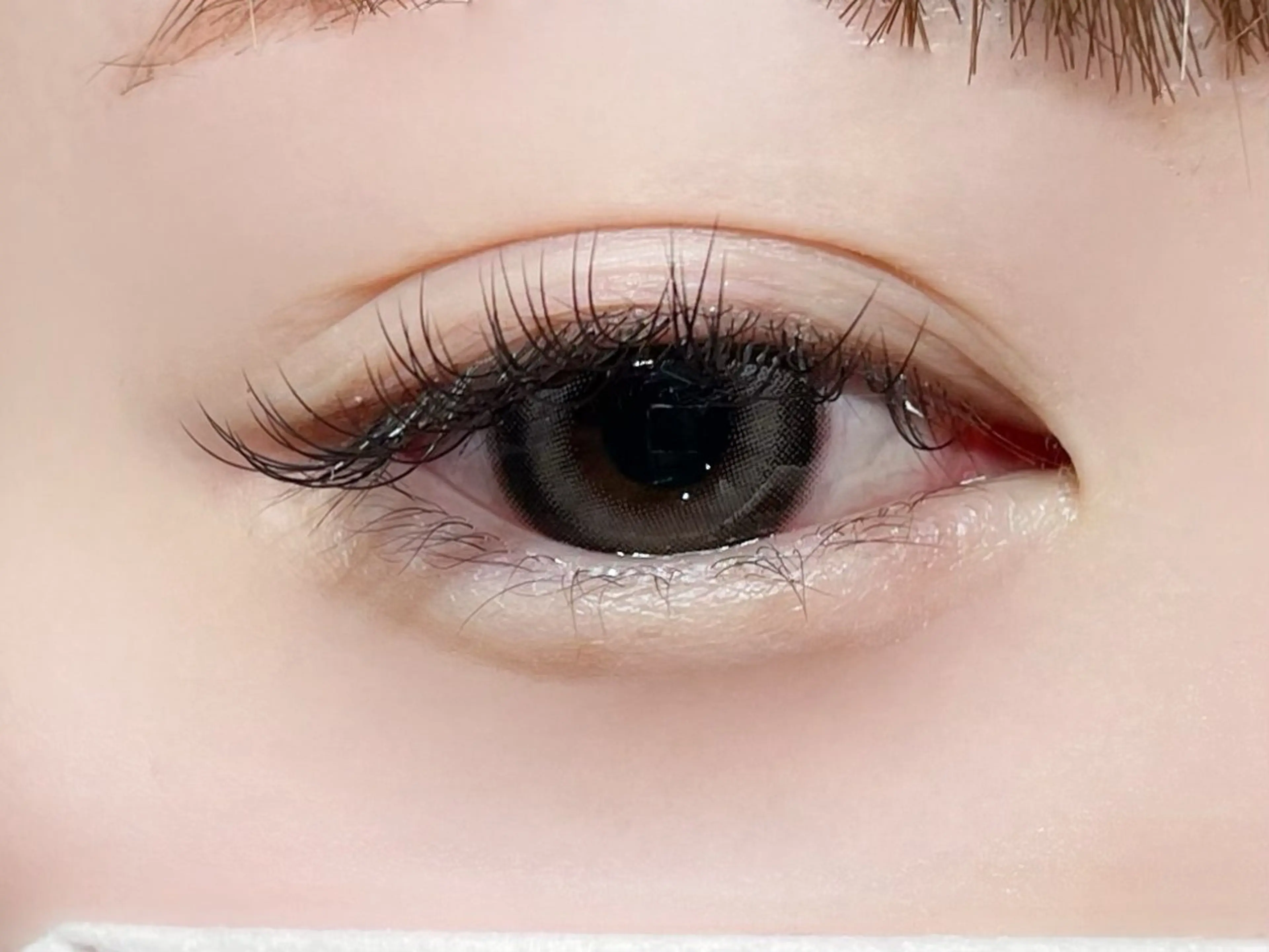 マツエク・マツパ マツエク 櫻井 怜華のマツエク・マツパデザイン