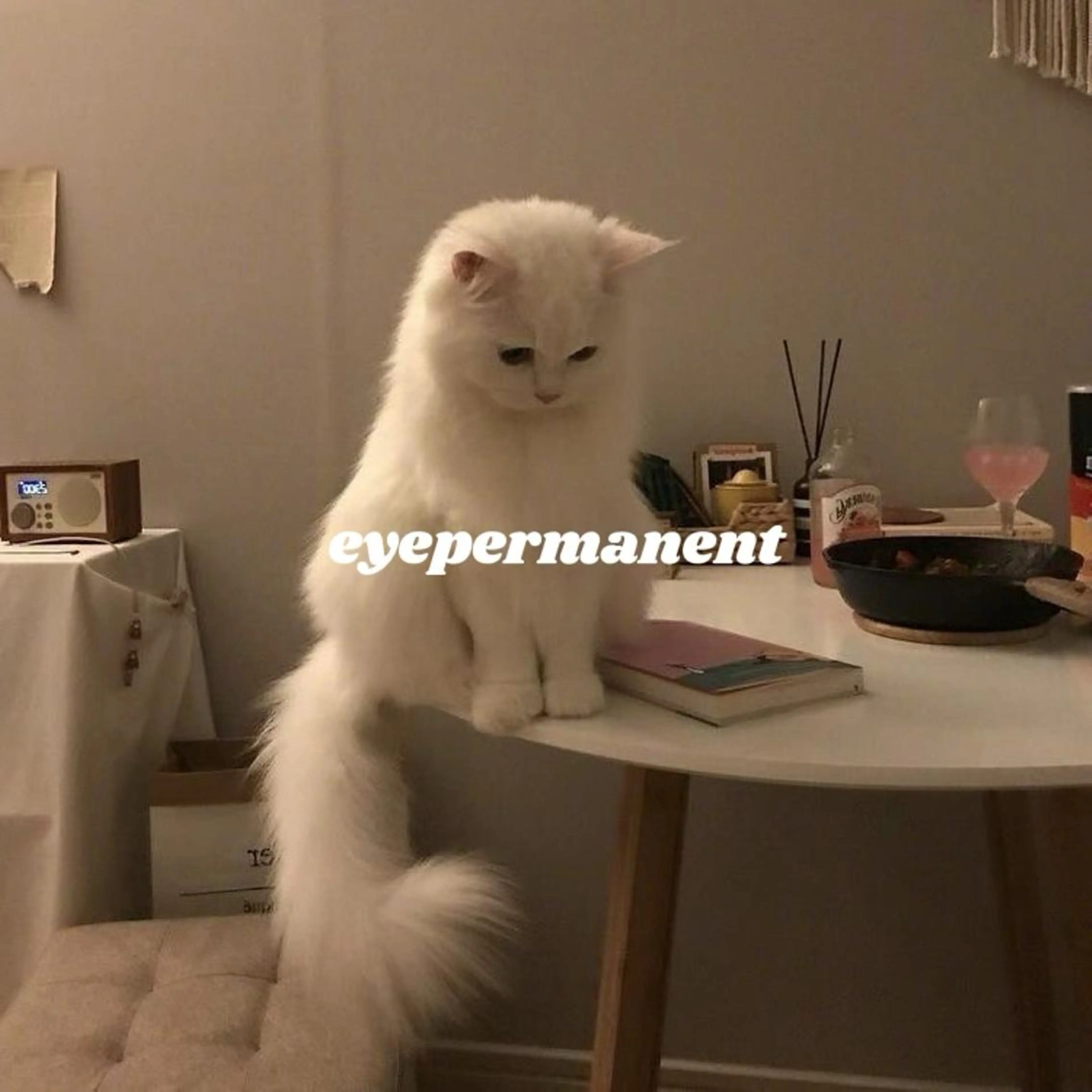 アイブロウ ワックス脱毛 眉カット その他(アイブロウ) mona 🎀韓国まつパ/眉毛のマツエク・マツパデザイン