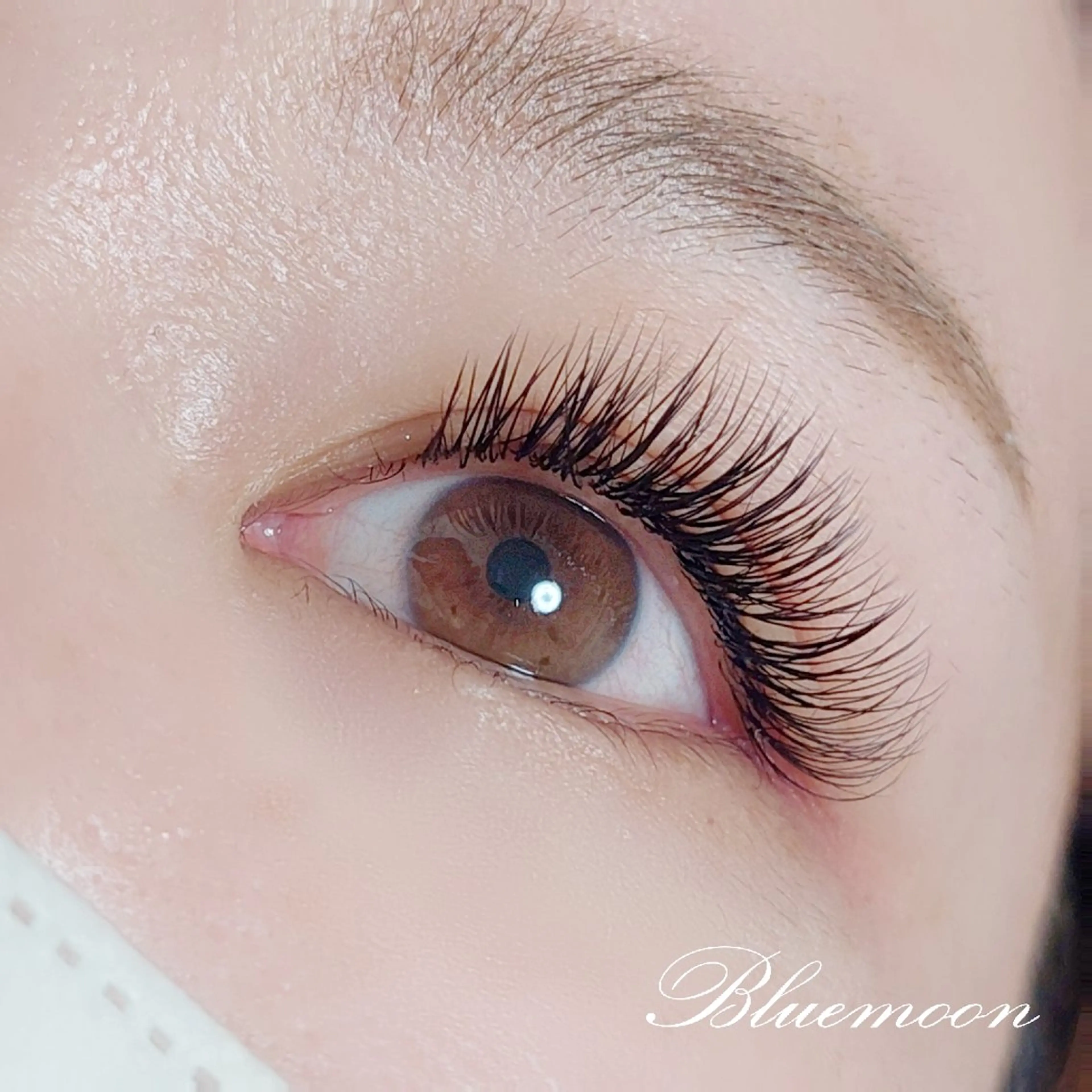 フラットラッシュつけ放題5000円の写真