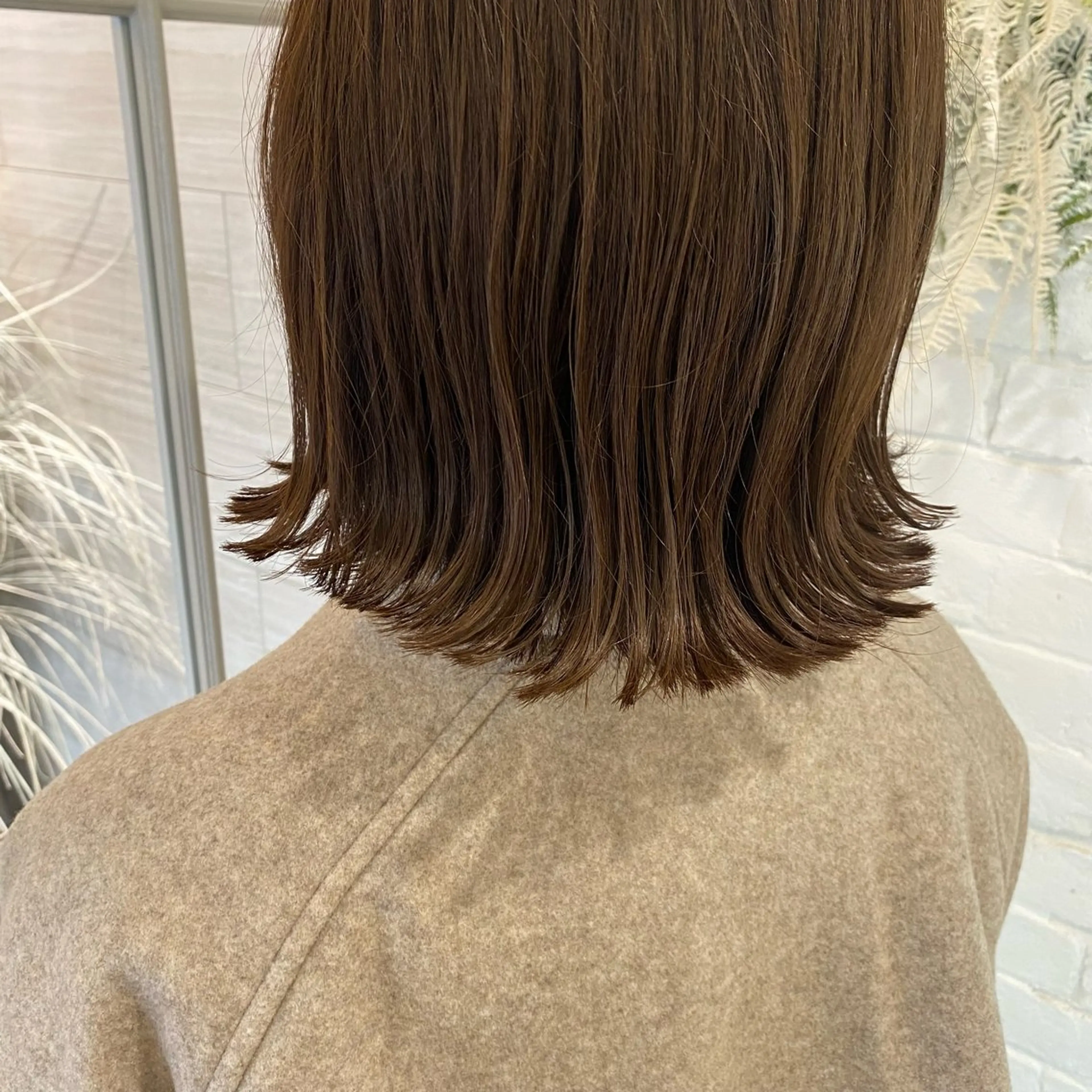 カット🌟カラーの写真