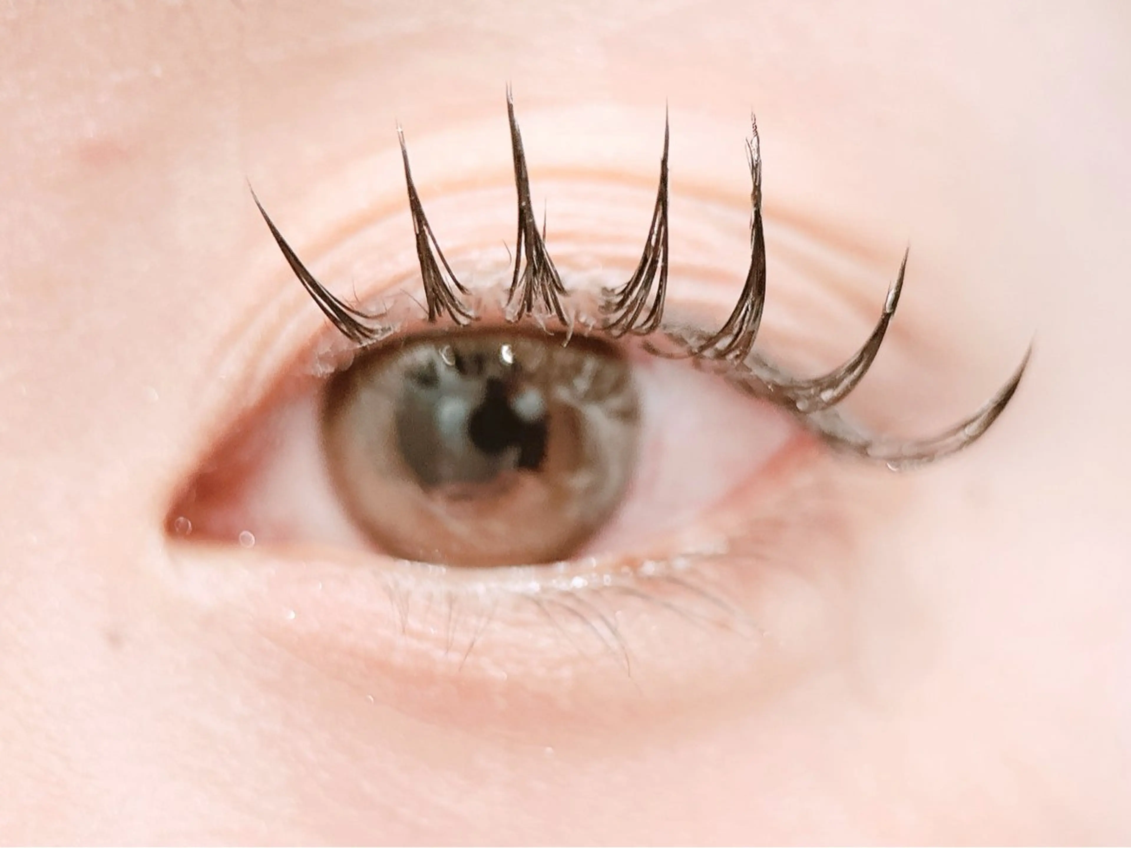 マツエク・マツパ マツエク muk. 金沢八景所属・◝✩ ᖇIᒍYᑌのマツエク・マツパデザイン