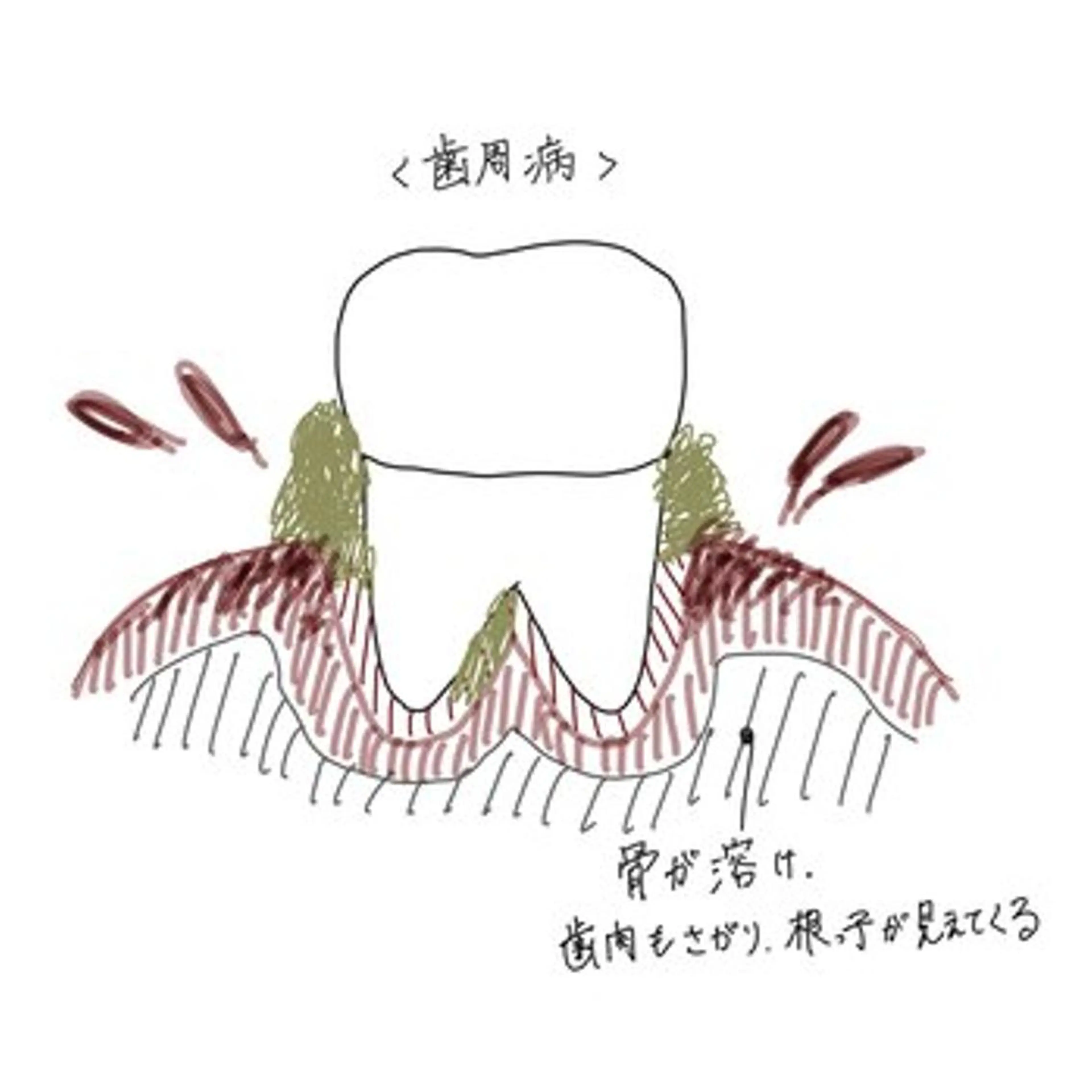 アイブロウ その他 ホワイトニングサロン nico西葛西店のその他イメージ