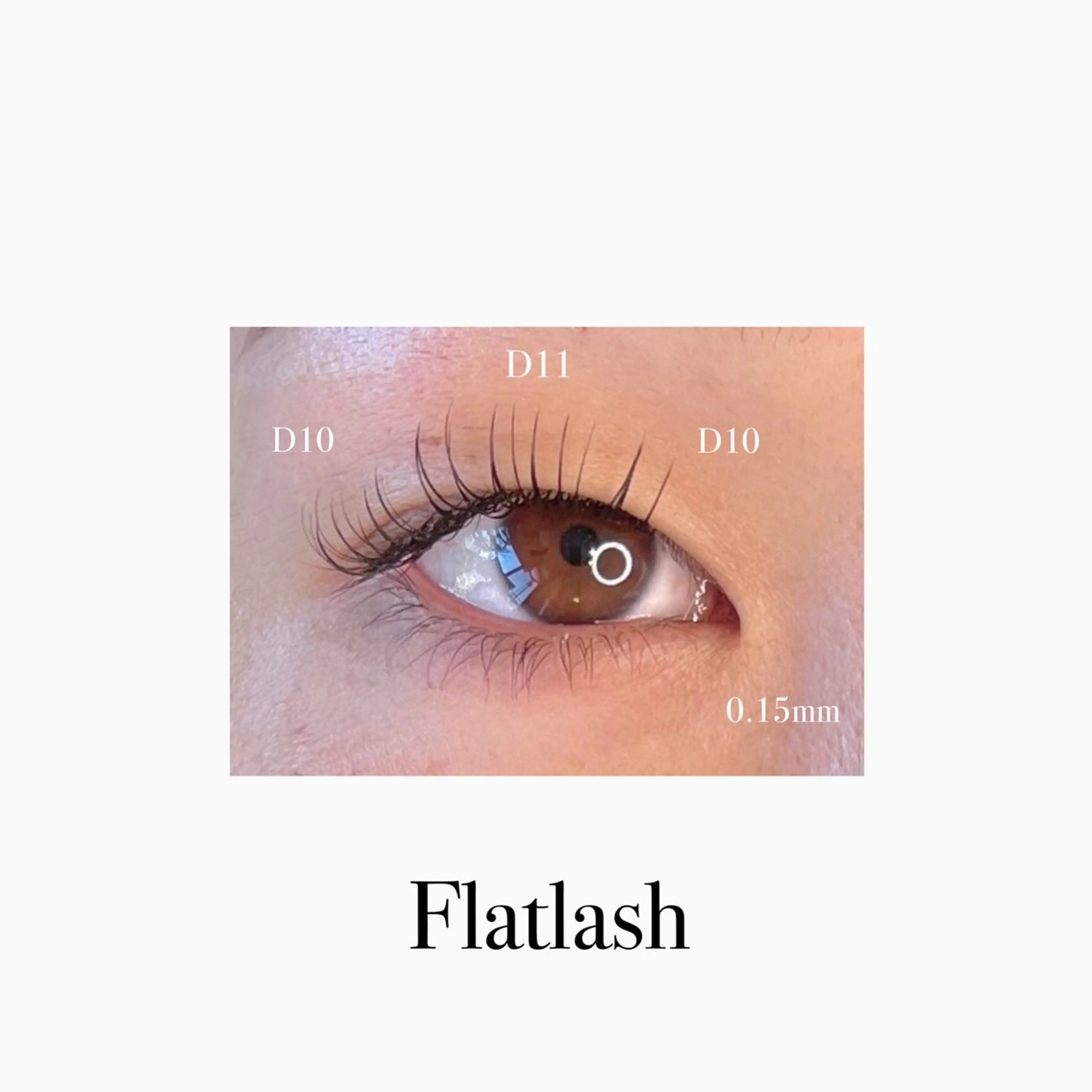 マツエク・マツパ フラットラッシュ CAMELLIA カメリアのマツエク・マツパデザイン