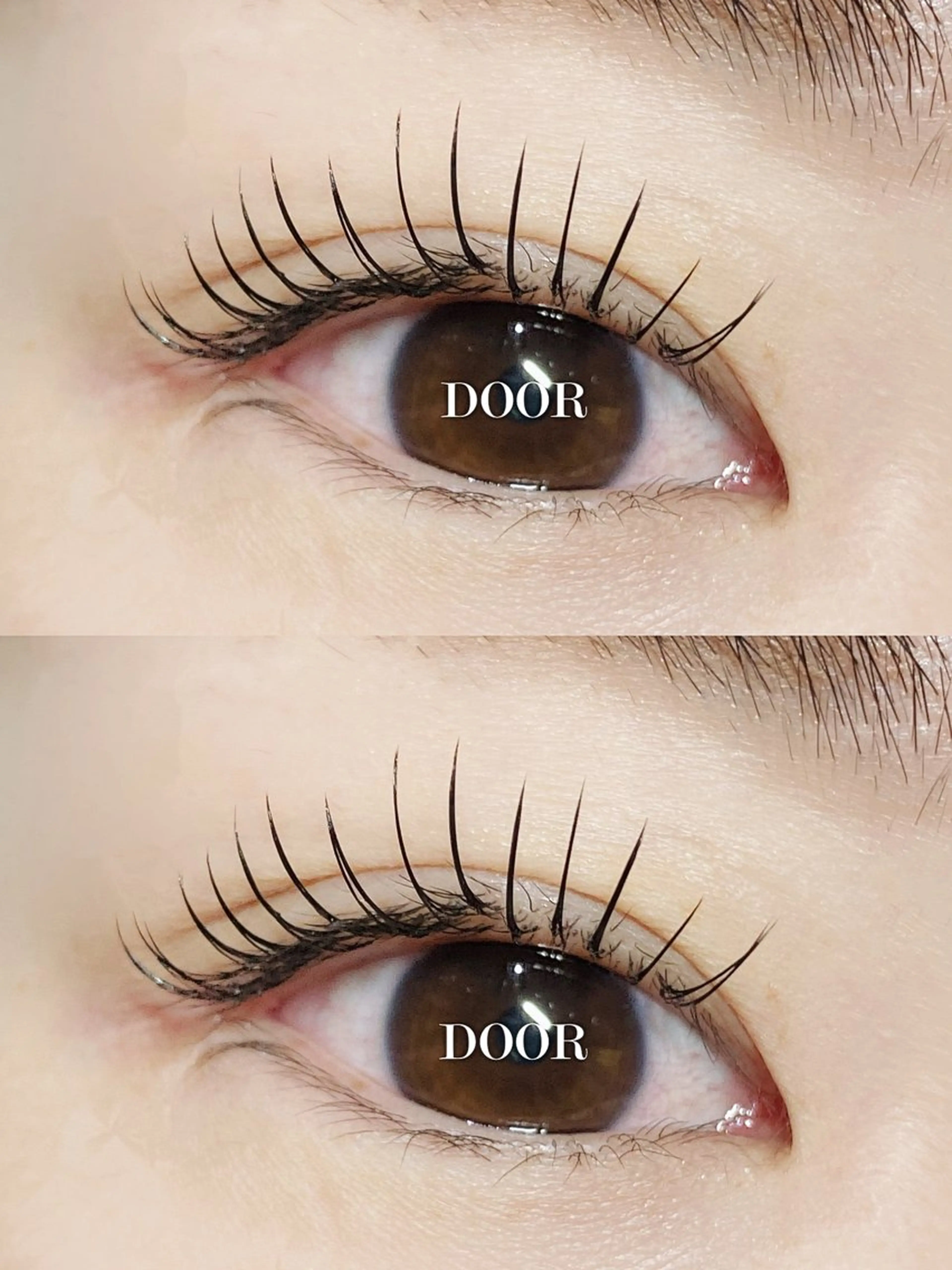 ✨️12月20.21日日限定 LEDエクステ・フラットラッシュ120本(オフ無料)・コーティング束感仕上げ可能✨️の写真