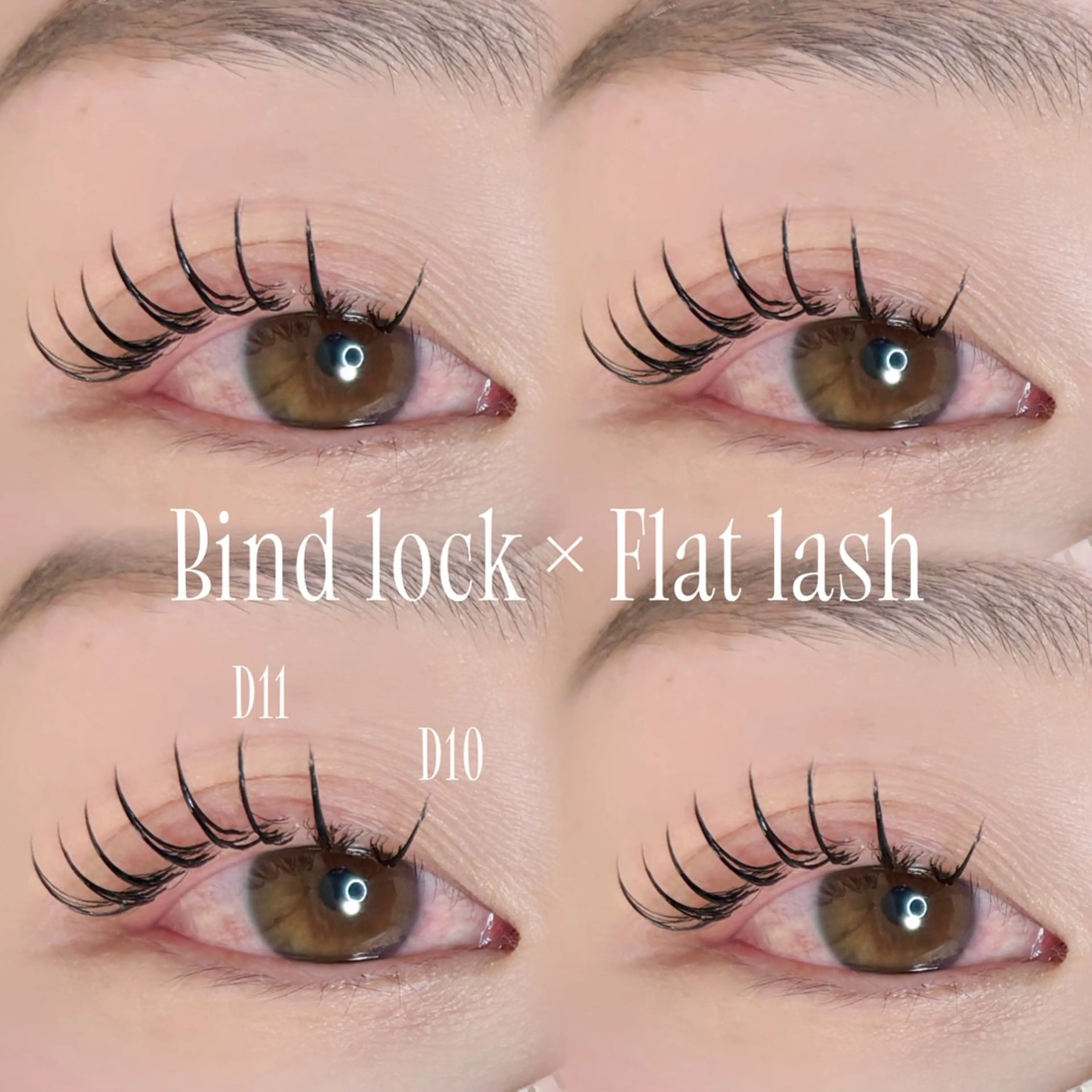 マツエク・マツパ バインドロック フラットラッシュ マツエク Miyu🦋 【Angelica】のマツエク・マツパデザイン