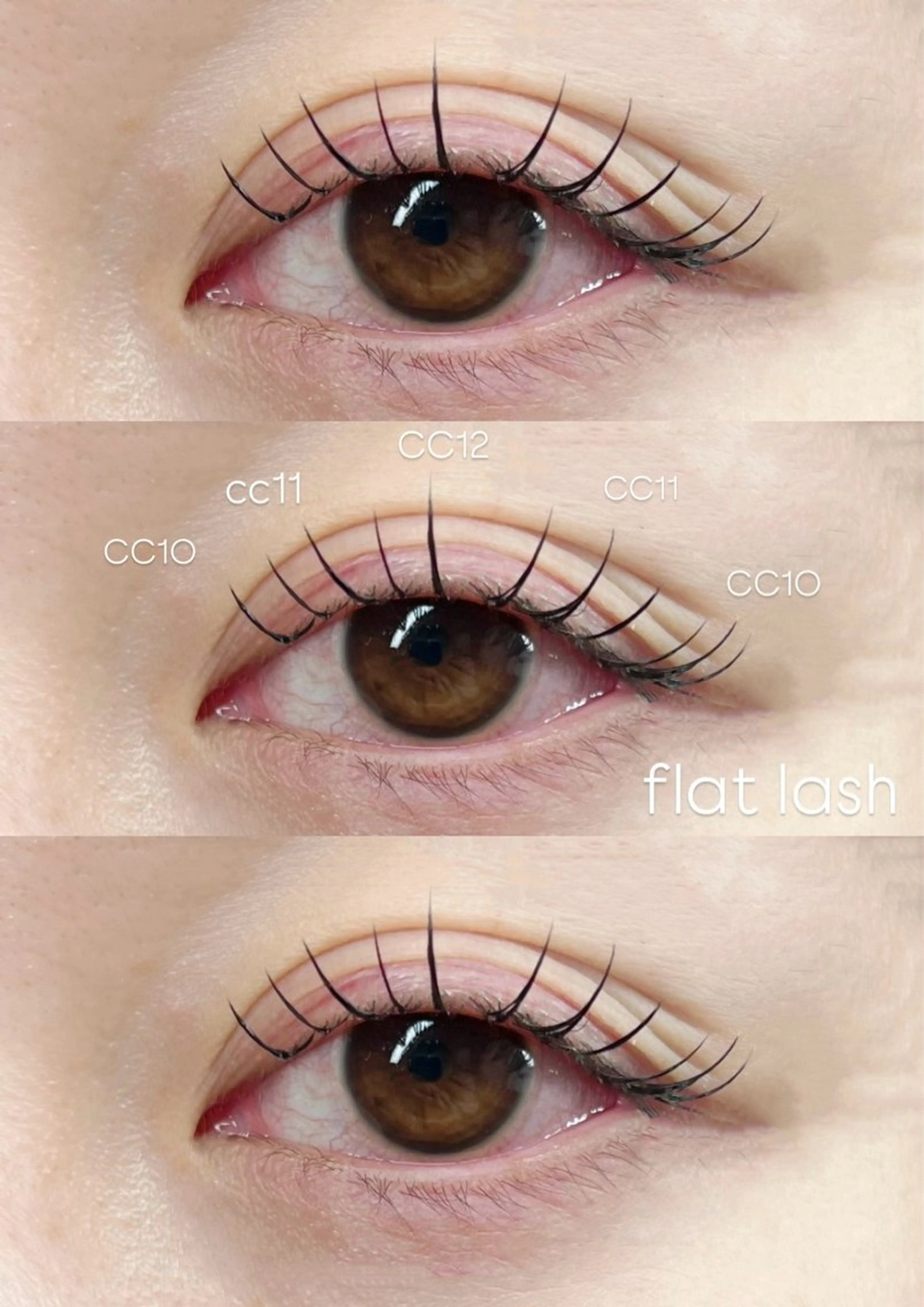 フラットラッシュ140本🦢コーティング付の写真