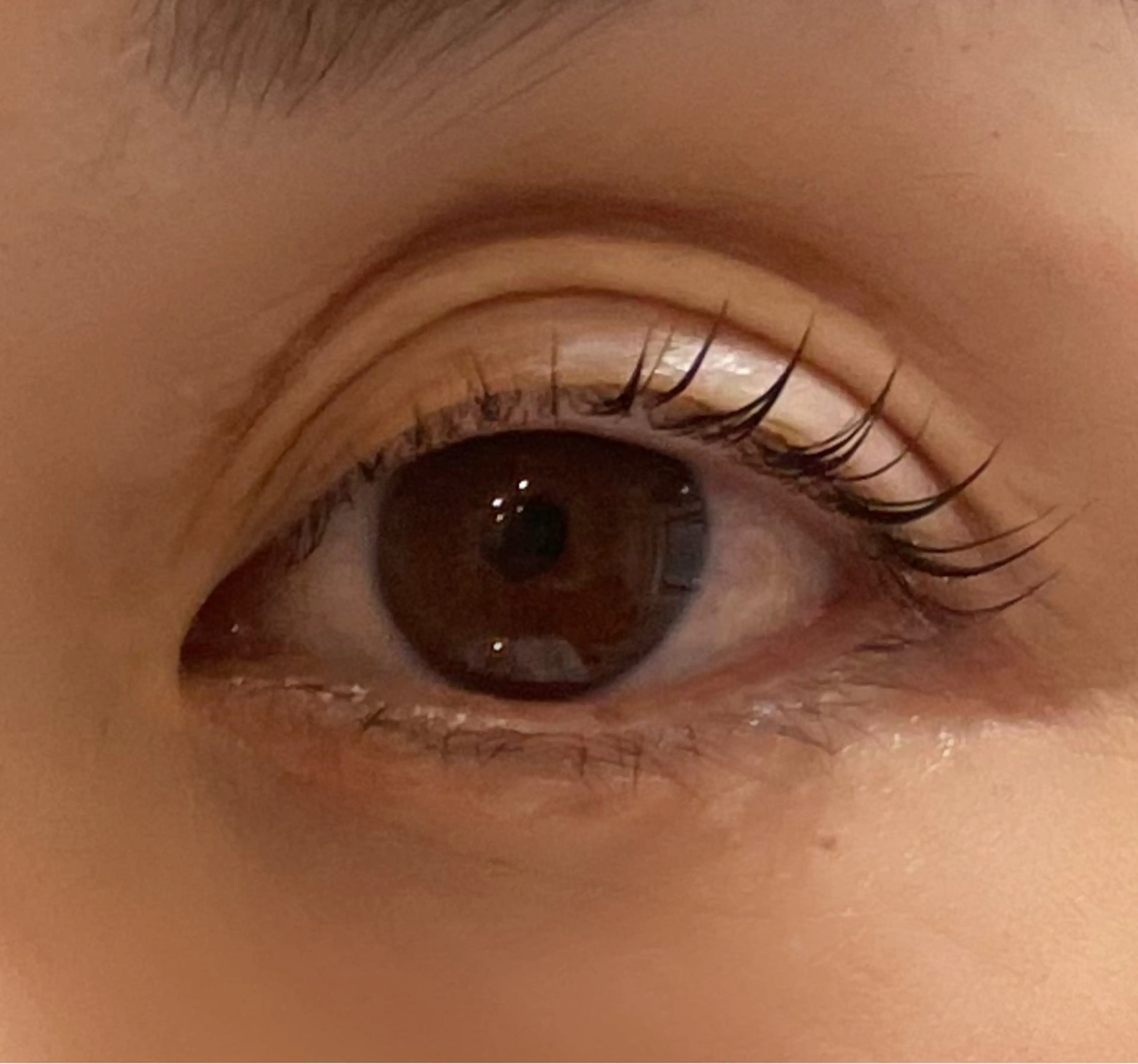 ラッシュリフト　※上のみの写真