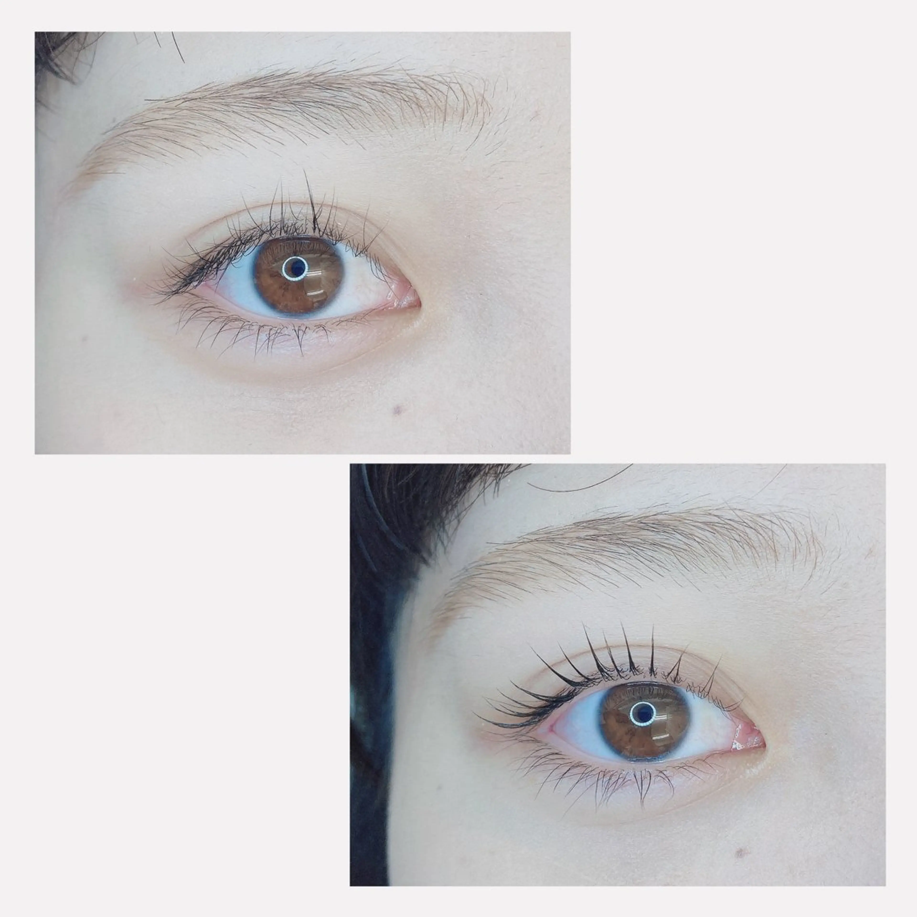 マツエク・マツパ TIARA池袋西口店 店長YASUKA💐のマツエク・マツパデザイン