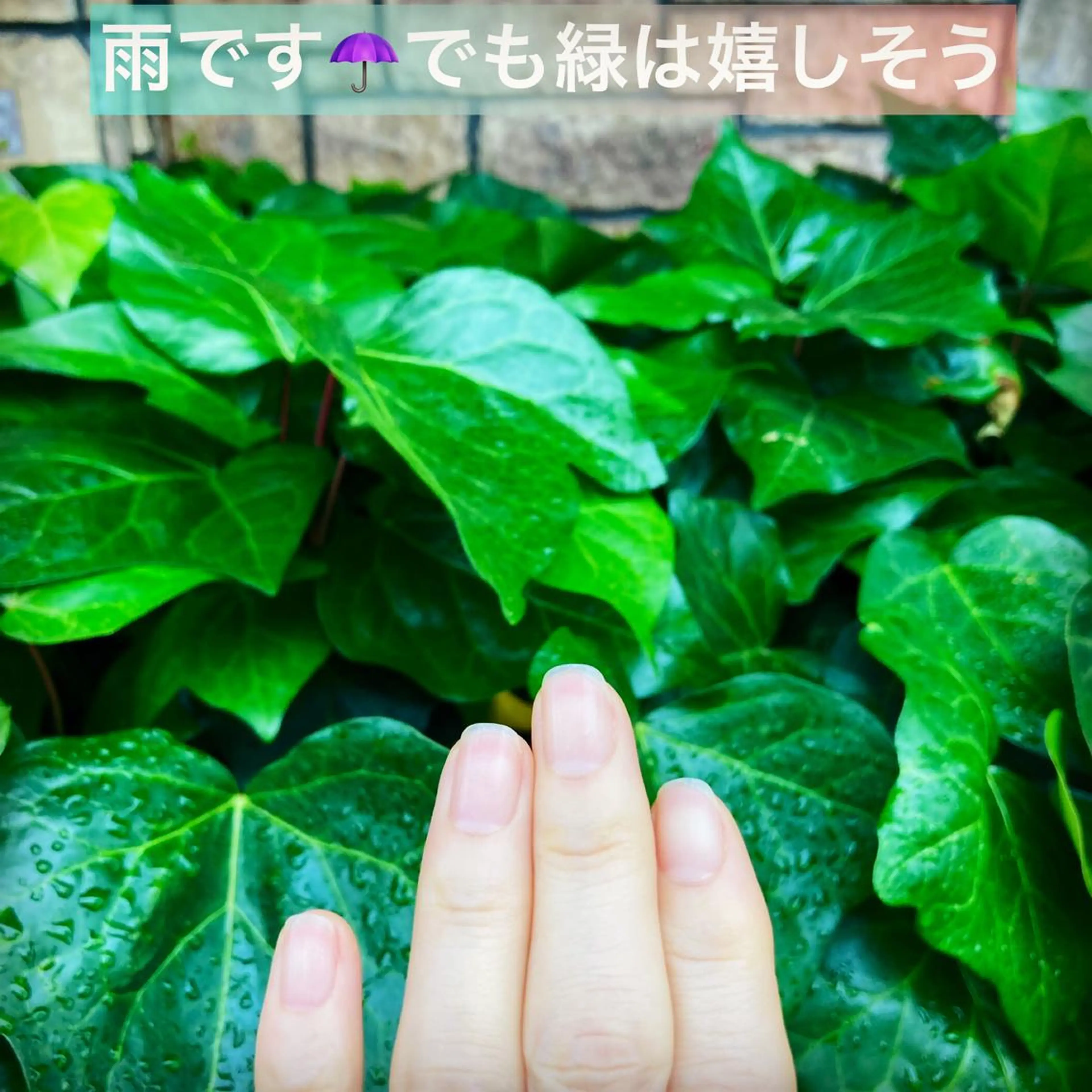 メンズ ネイル ハンドケア＆ネイルケア桃の木所属・ケアリスト🍀 マリユキのネイルデザイン