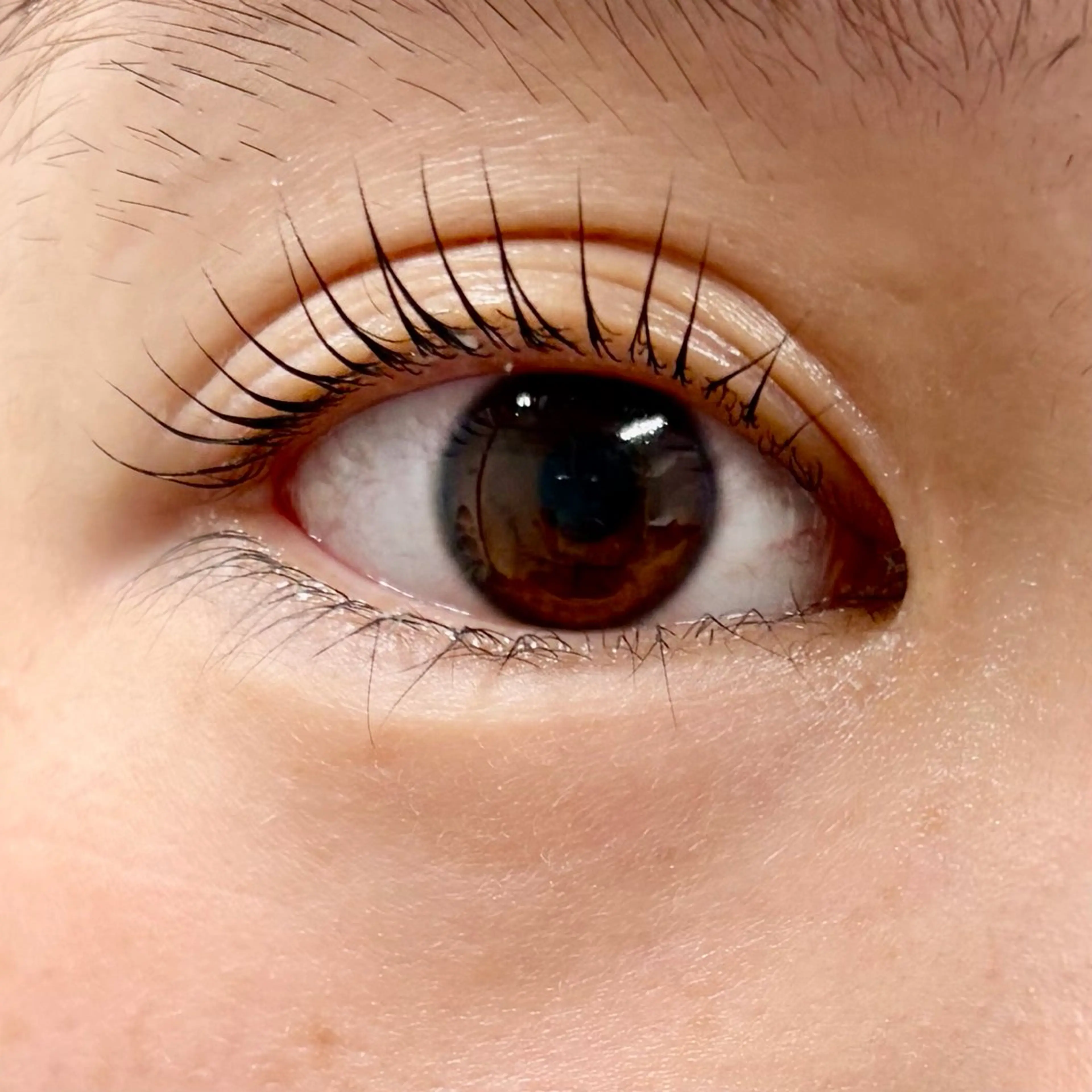 マツエク・マツパ banhada TOKYOのマツエク・マツパデザイン