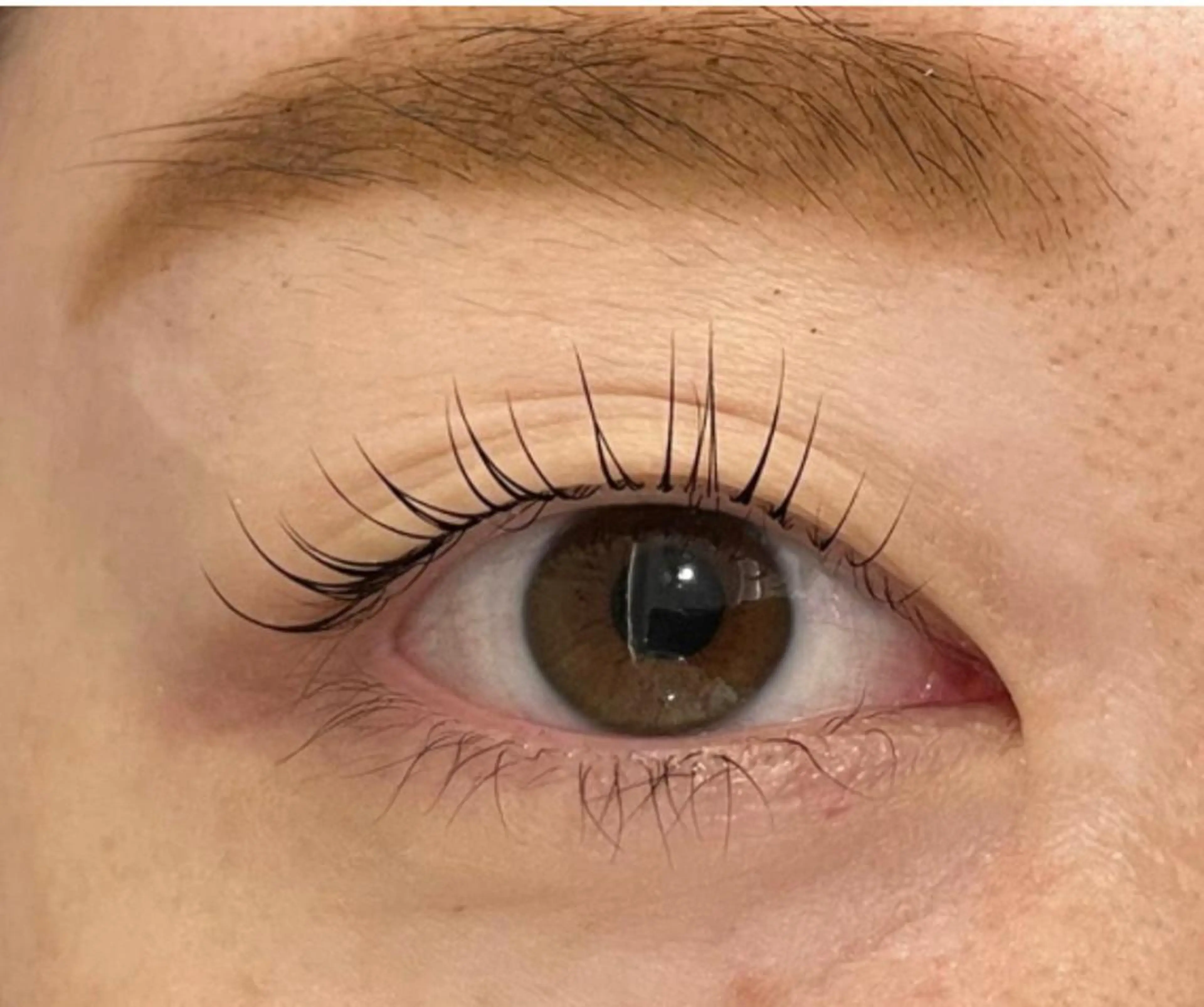 マツエク・マツパ まつげと眉毛のお店Sakura Lash【サクララッシュ】所属・【ダメージケア特化】 🌸 サクララッシュの眉毛・アイブロウイメージ