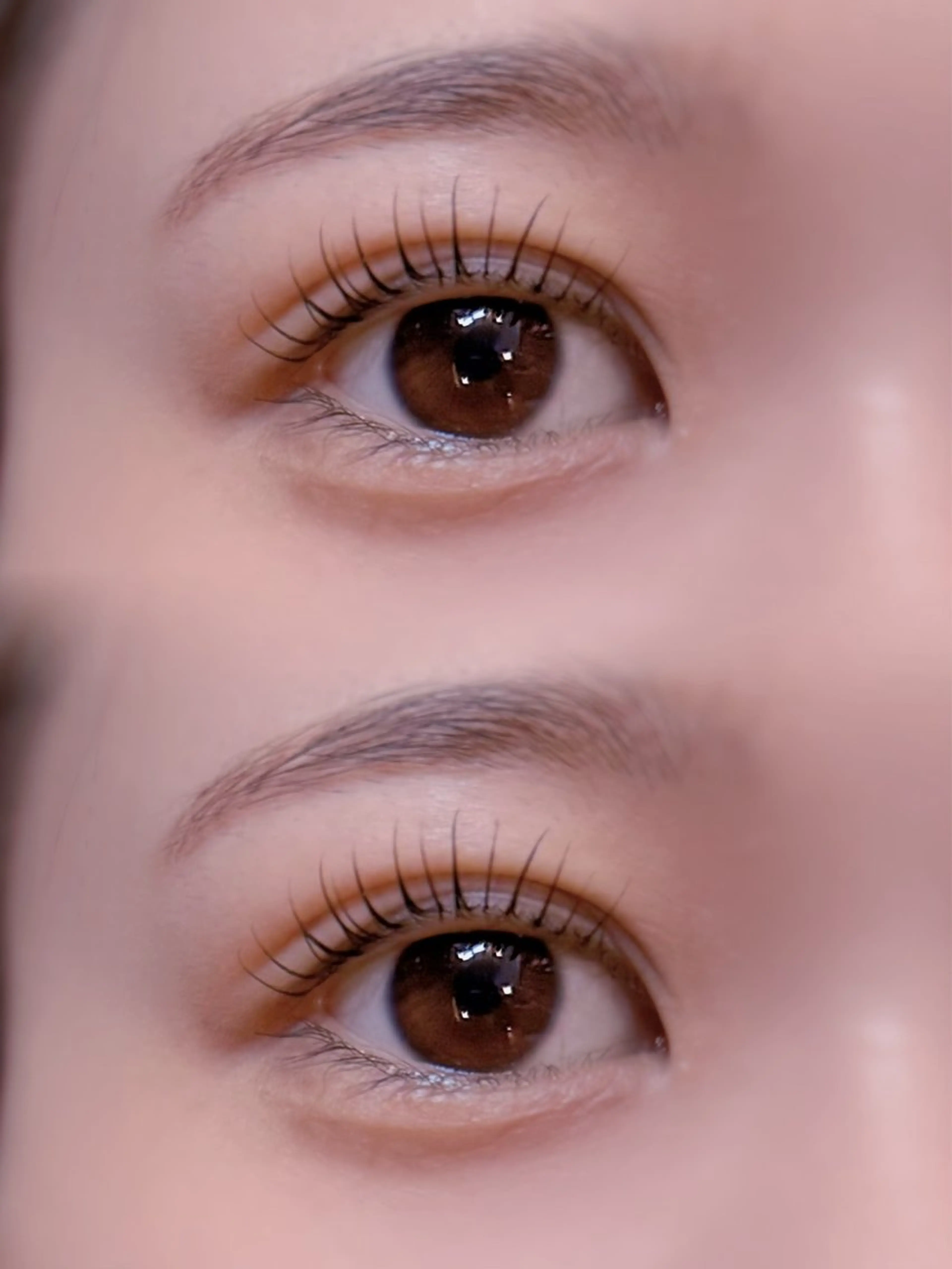 上下まつげパーマ🖤の写真