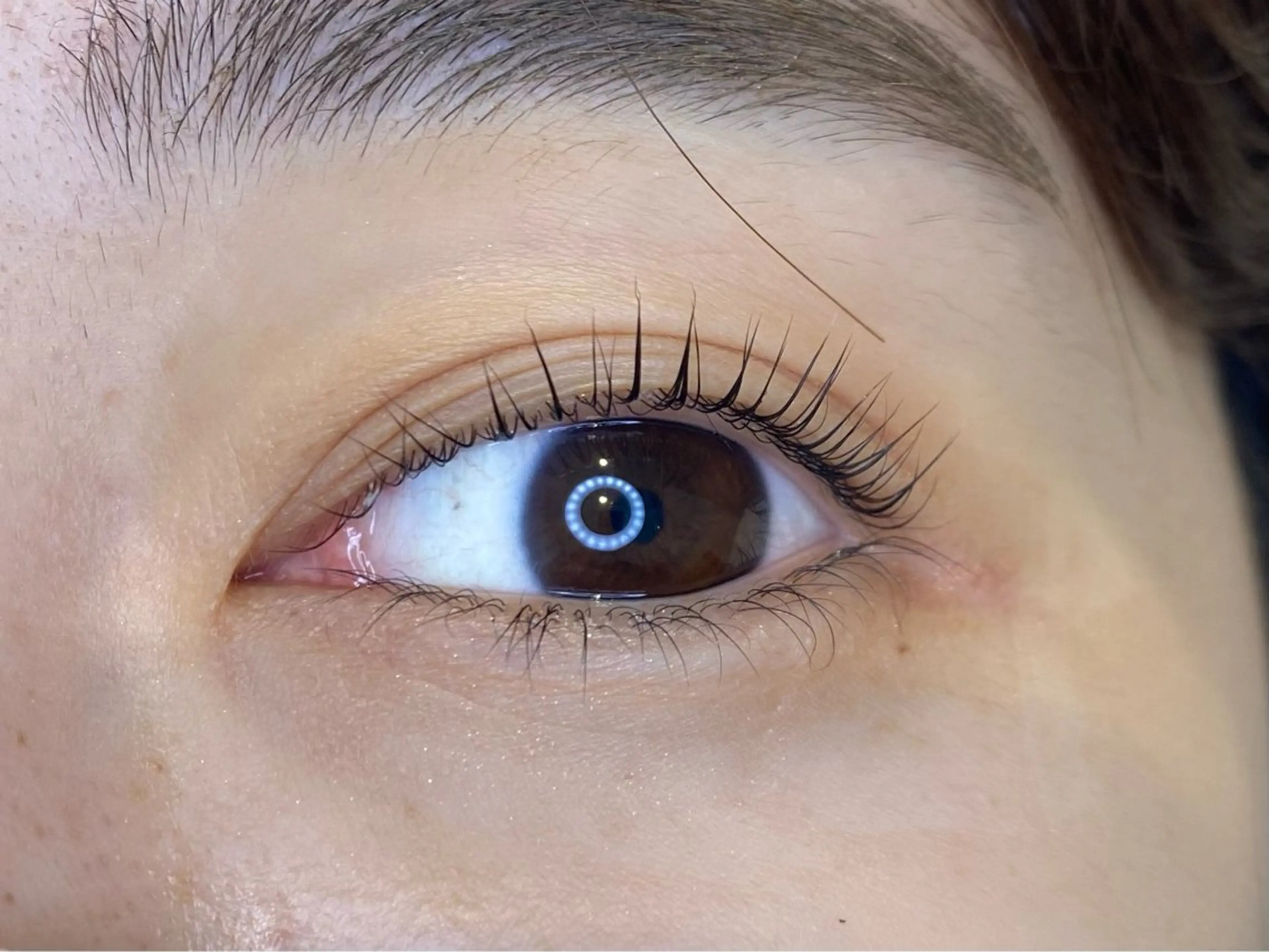 マツエク・マツパ Lowen 野原の眉毛・アイブロウイメージ