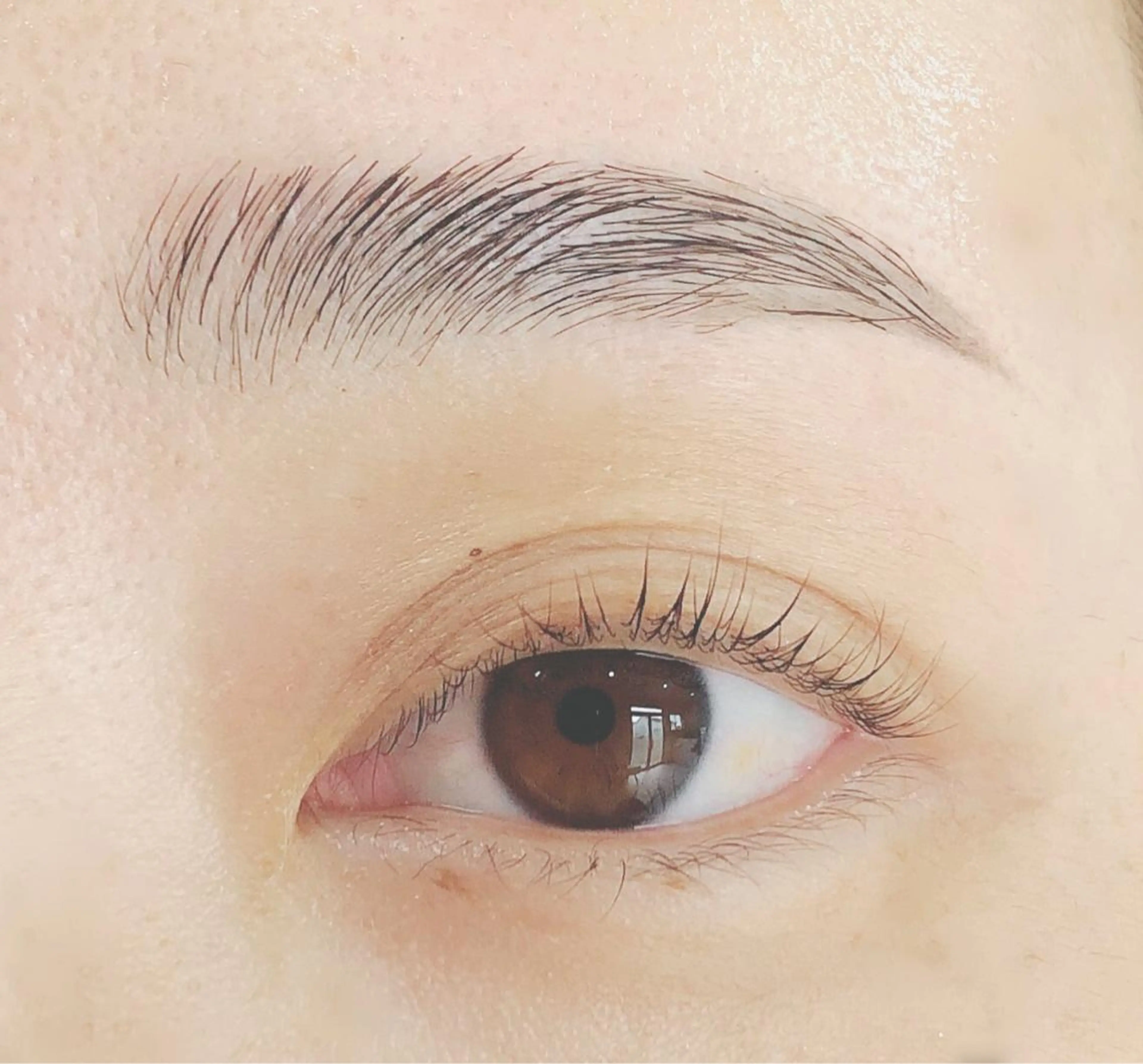 【✨人気🙆‍♀️セットメニュー✨】まつ毛パーマ＋美眉スタイリング(モデル募集)の写真