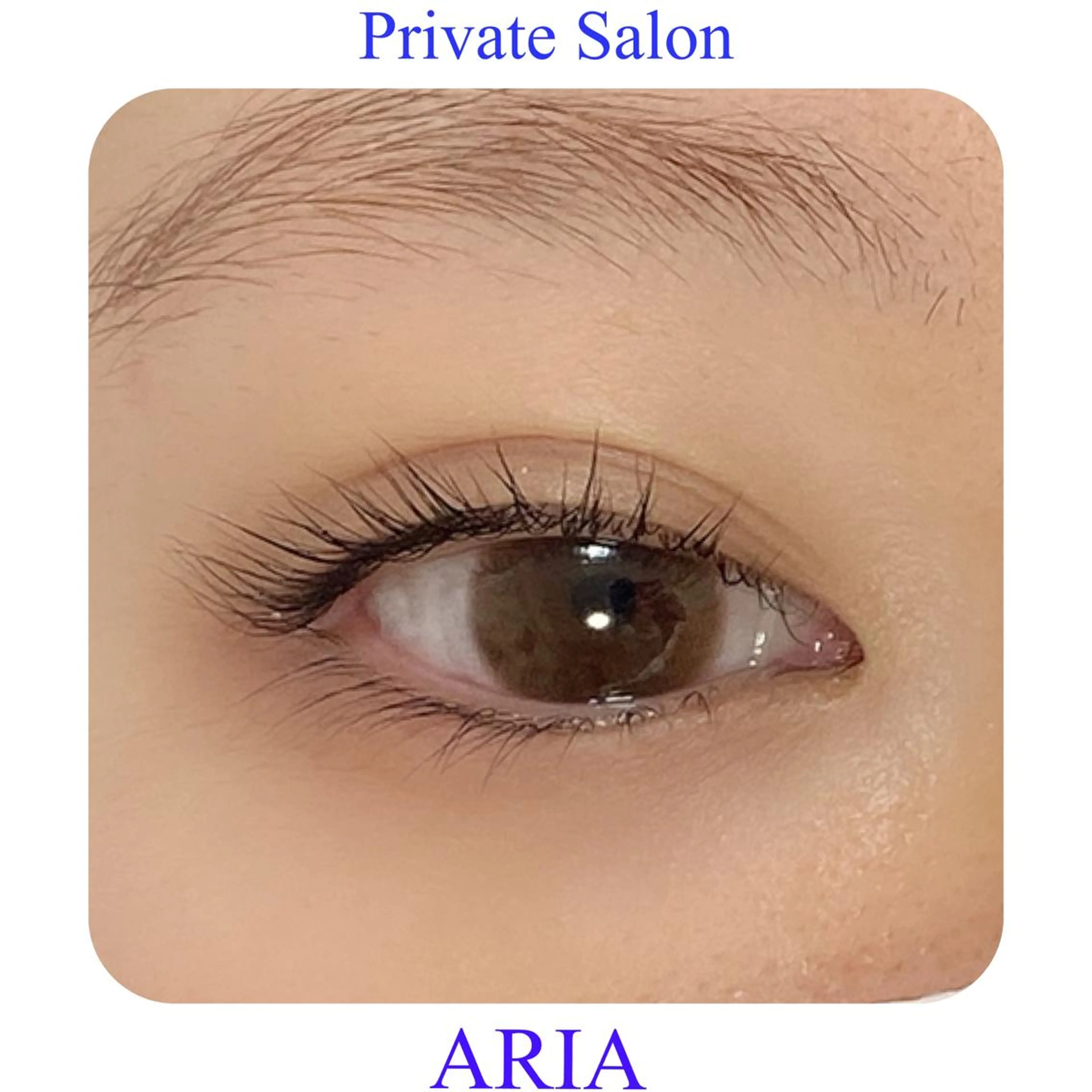 マツエク・マツパ まつげパーマ マツパ ARIA所属・ARIAプライベート サロン五反田のマツエク・マツパデザイン