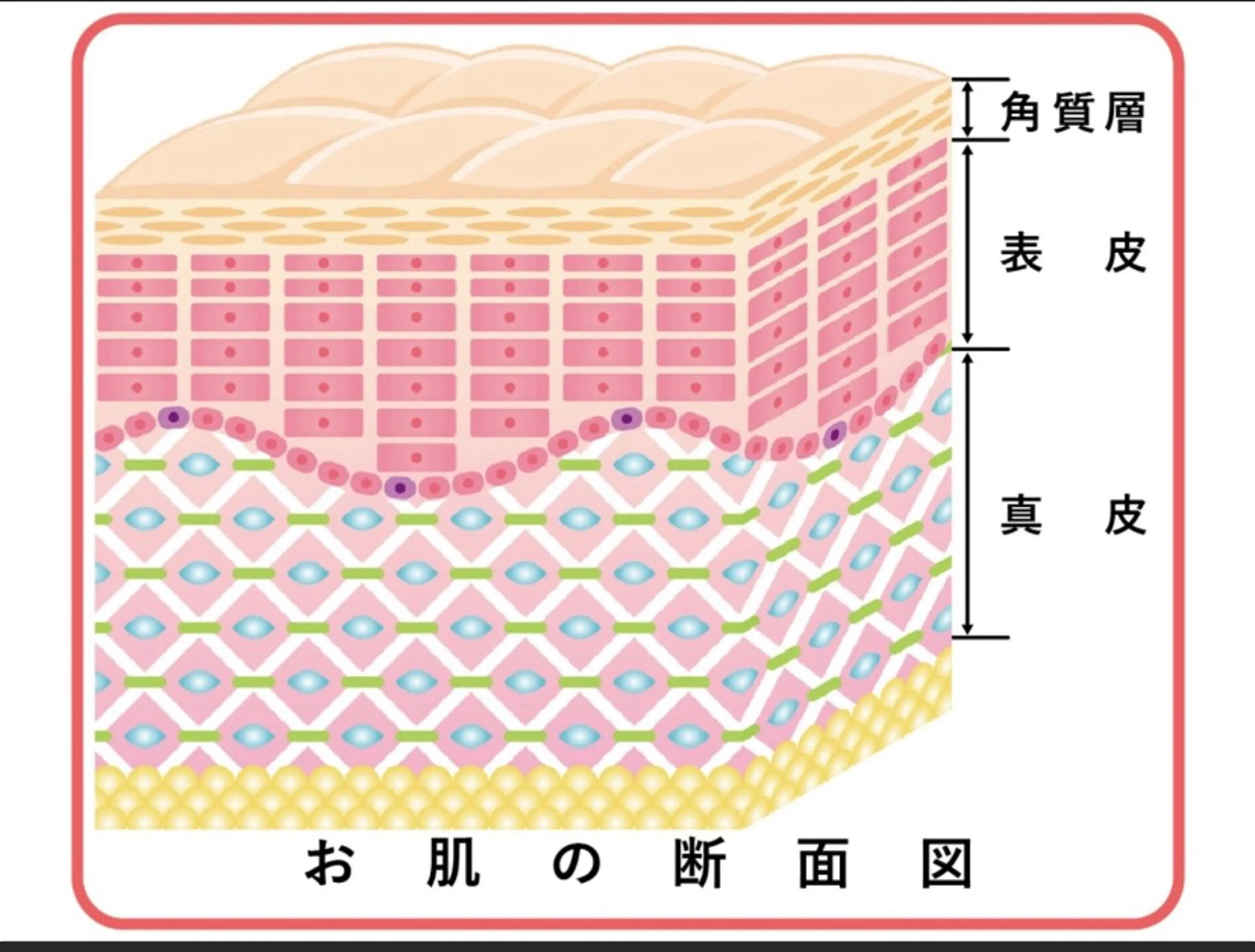韓国肌管理 【毛穴専科】のエステ・リラクイメージ