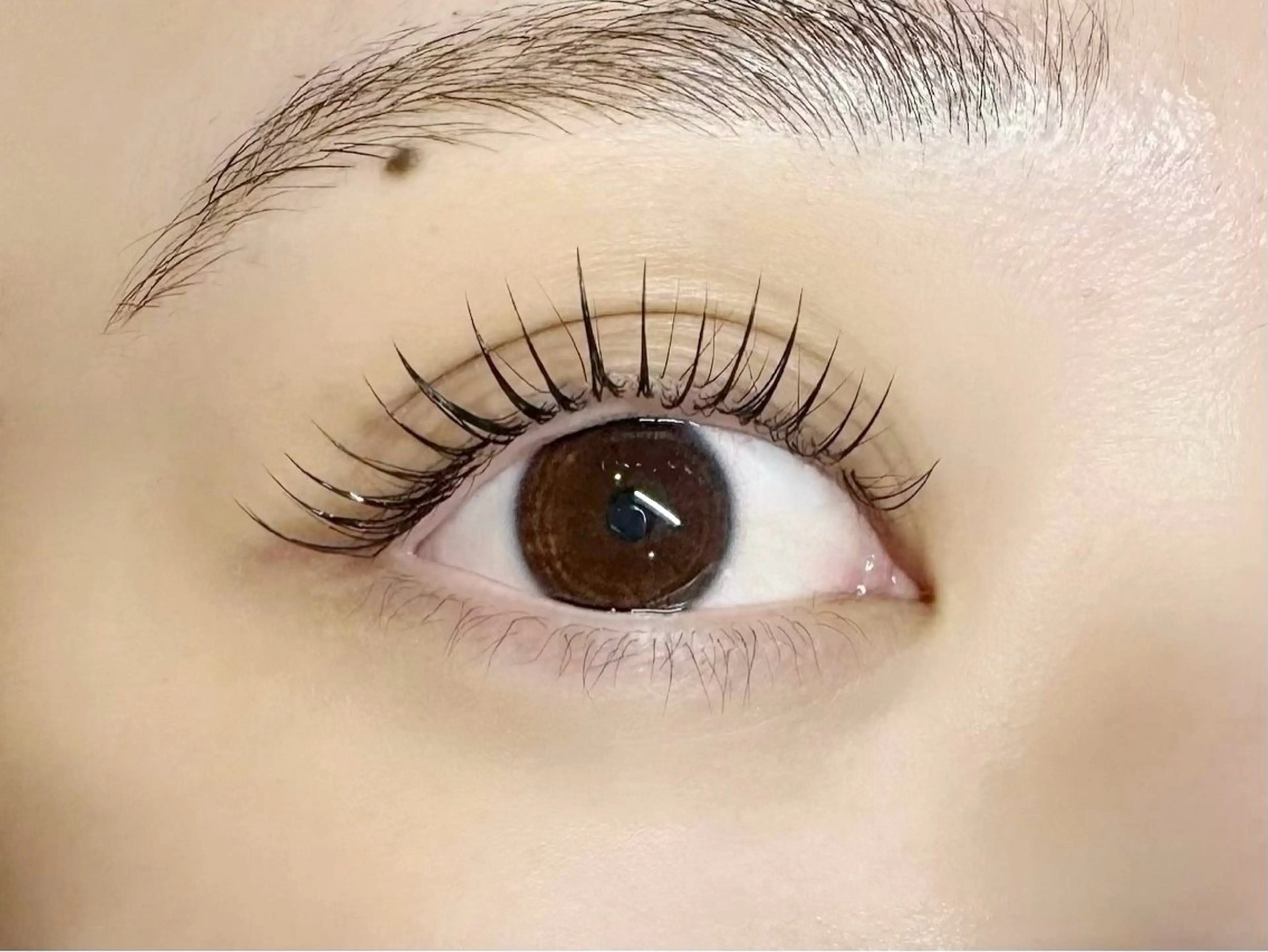 プラチナセーブル*100本の写真