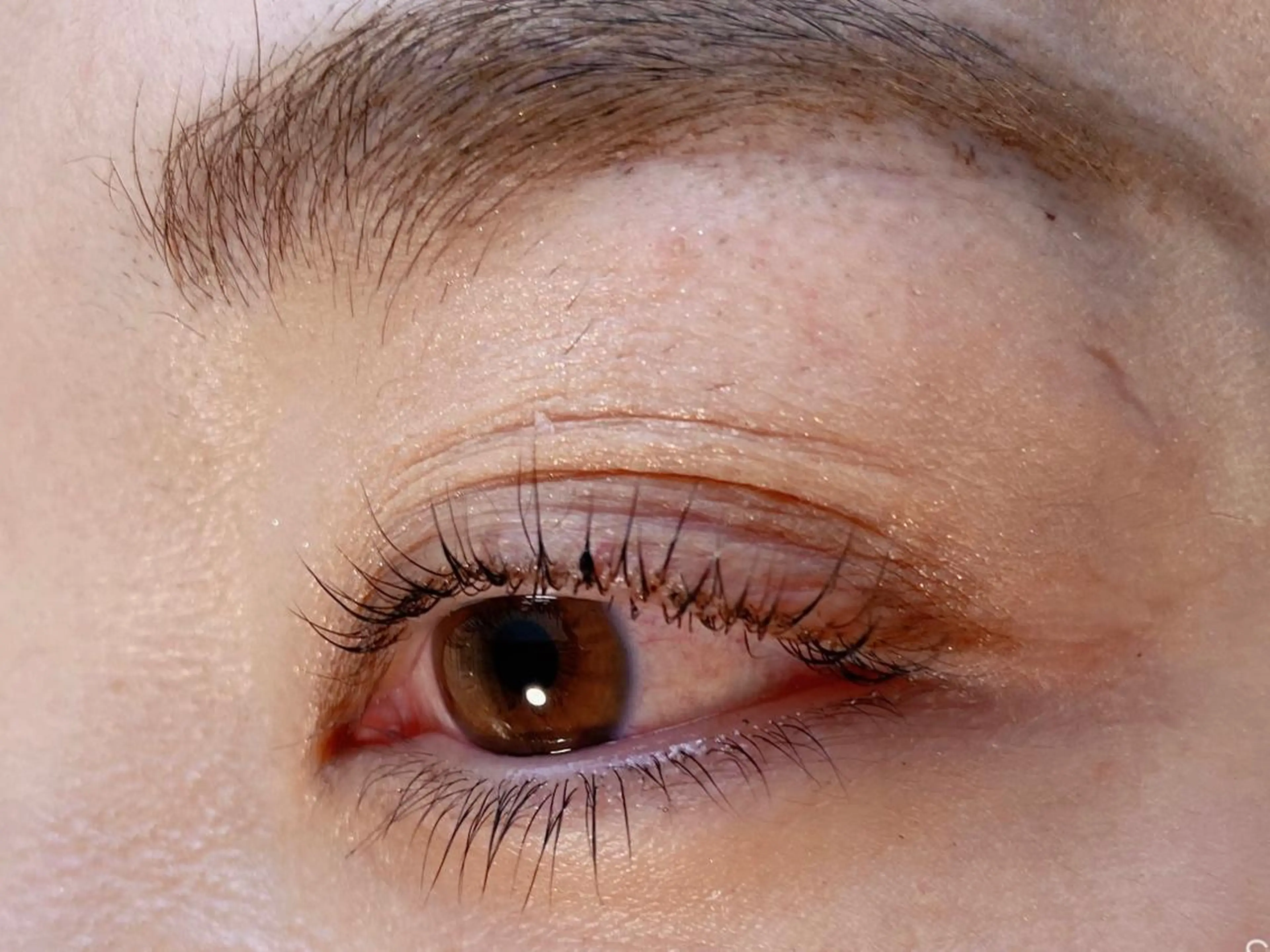 上下ラッシュリフトの写真