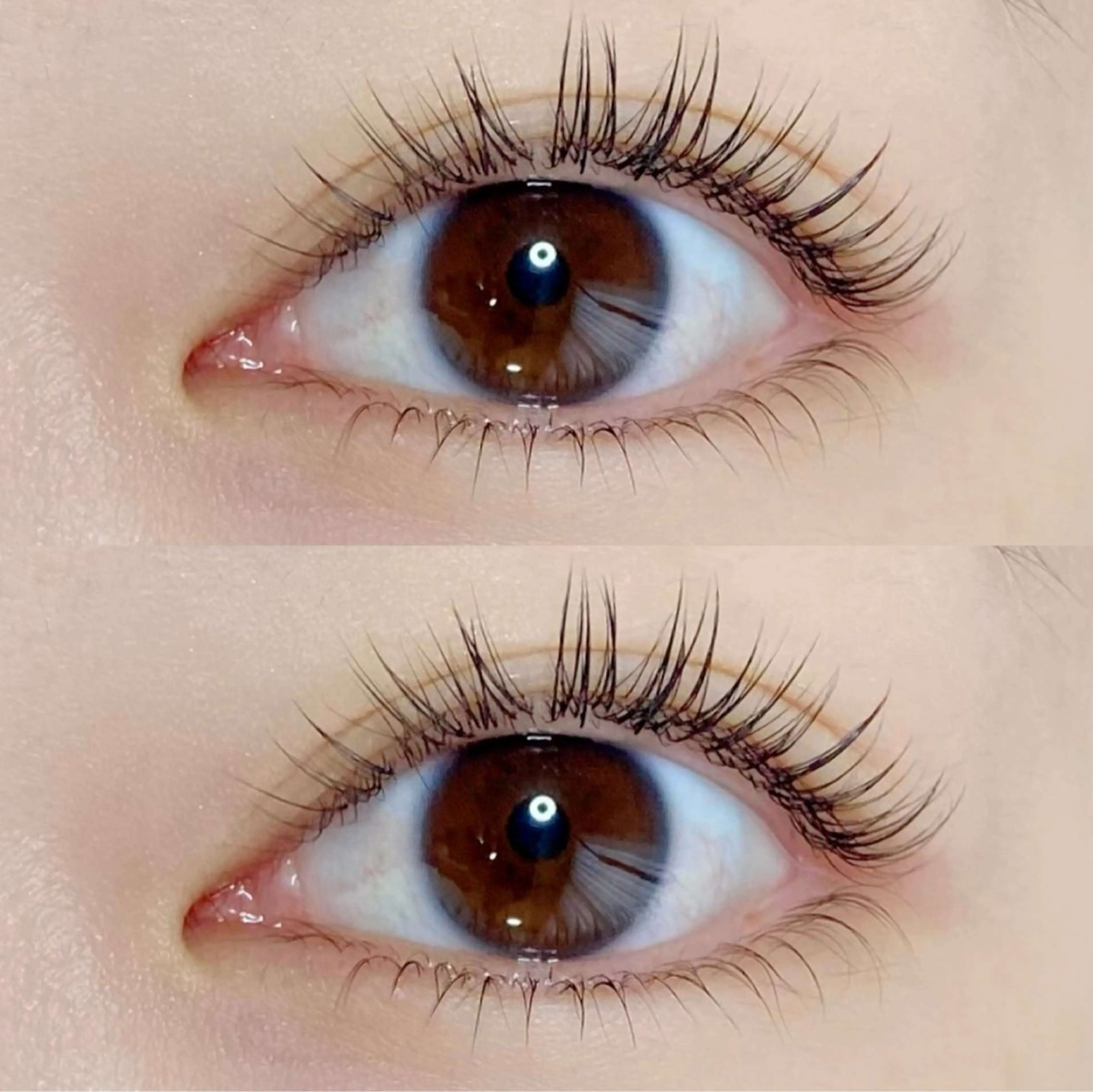 【ミニモ限定価格✨】アイラッシュ(上)+フラットラッシュ90〜120本(オフなし)🪄アイシャンプー付きの写真