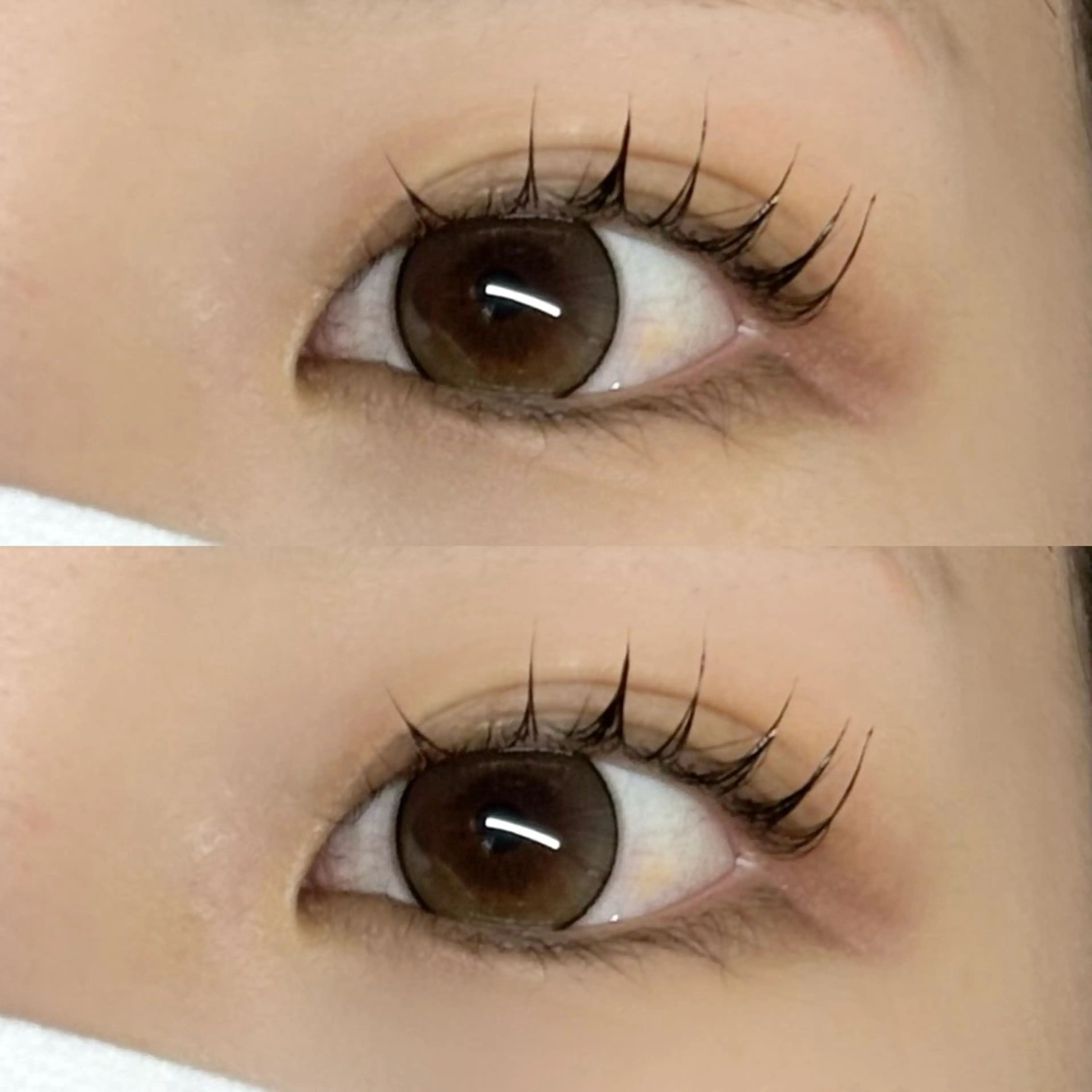 マツエク・マツパ パリジェンヌラッシュリフト scarlet asahiのマツエク・マツパデザイン